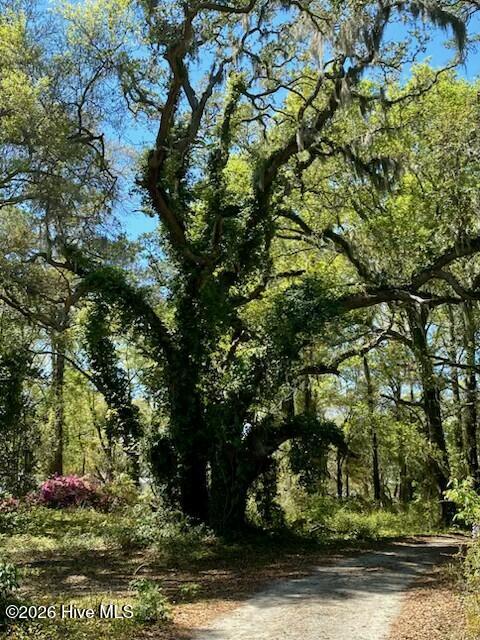 1633 Gause Landing Road Sw Property Photo 16