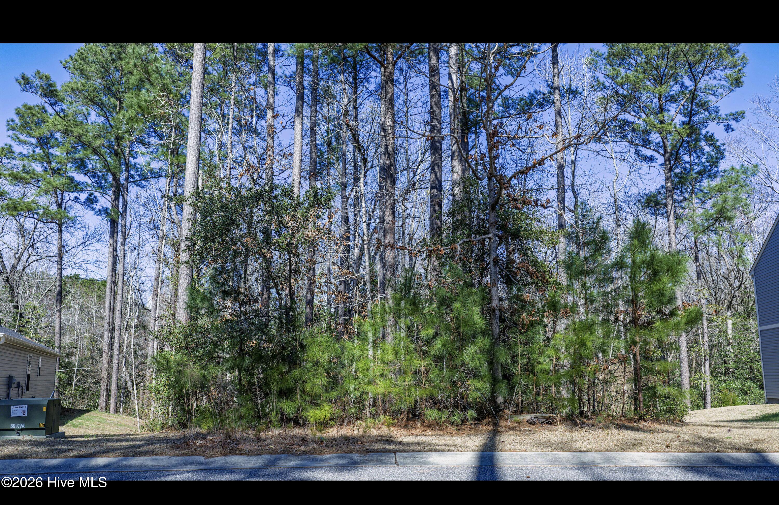 2607 87 Twin Leaf Court Se Property Photo 6