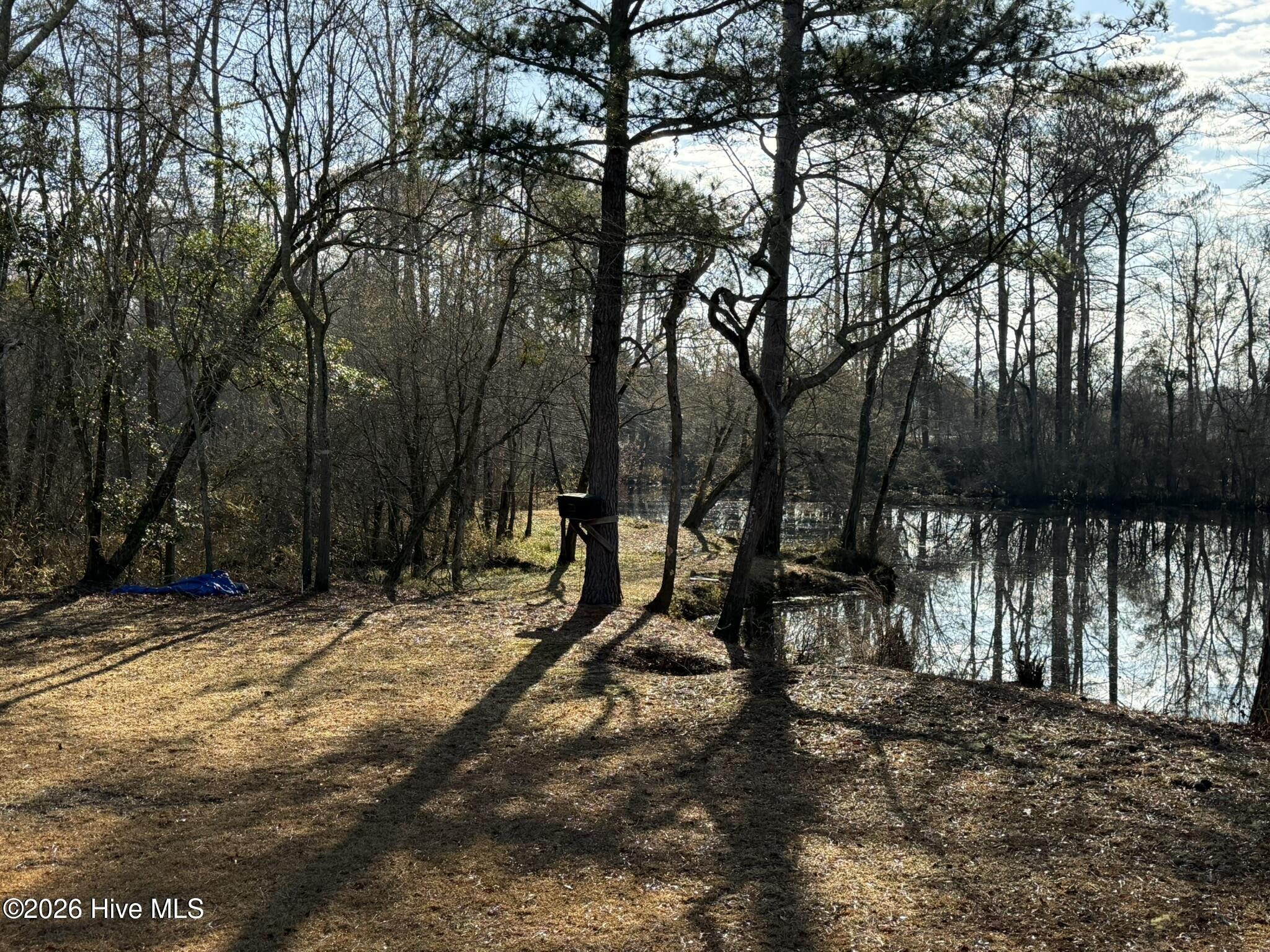 103 Raccoon Property Photo 3