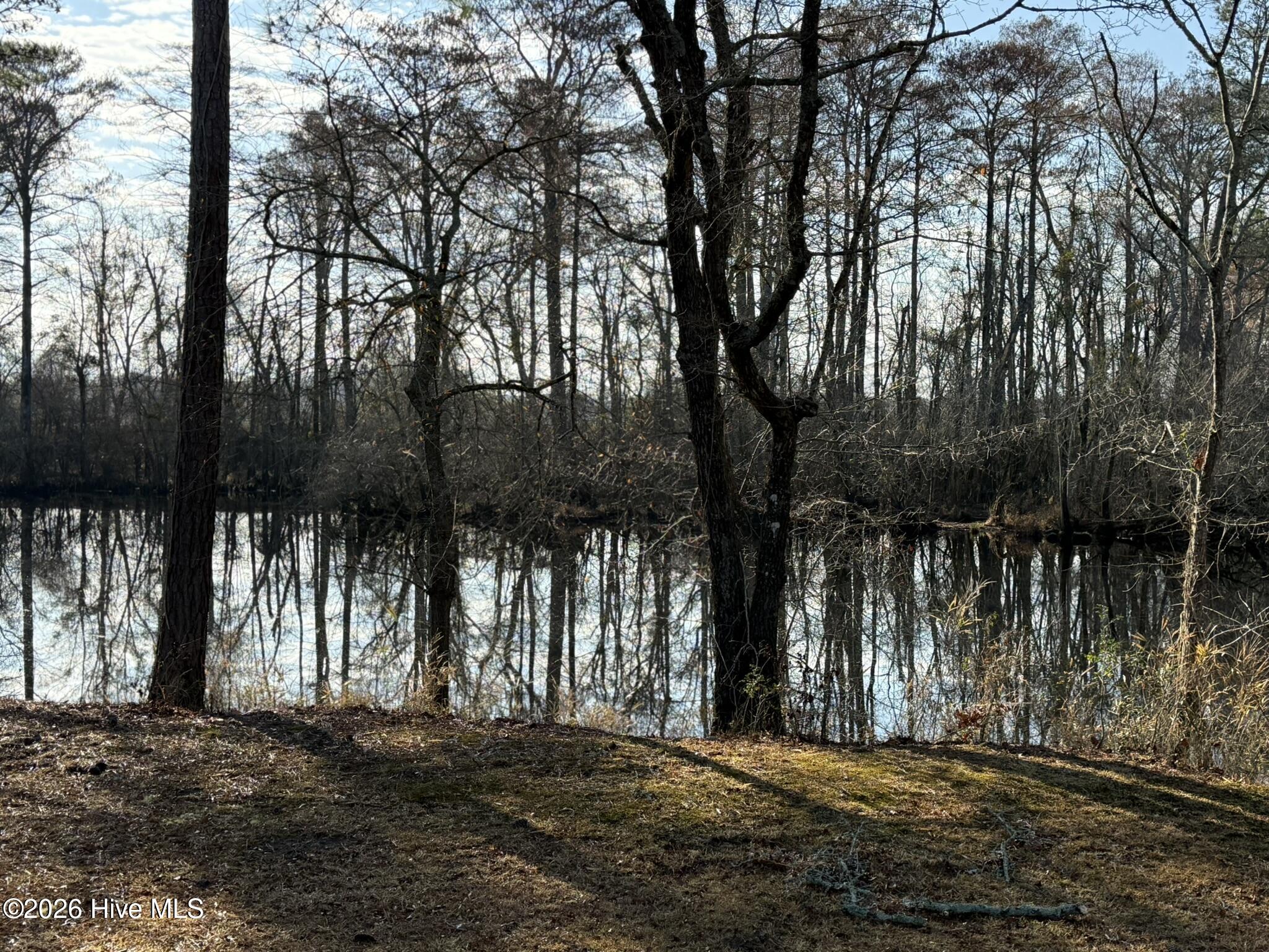 103 Raccoon Property Photo 4