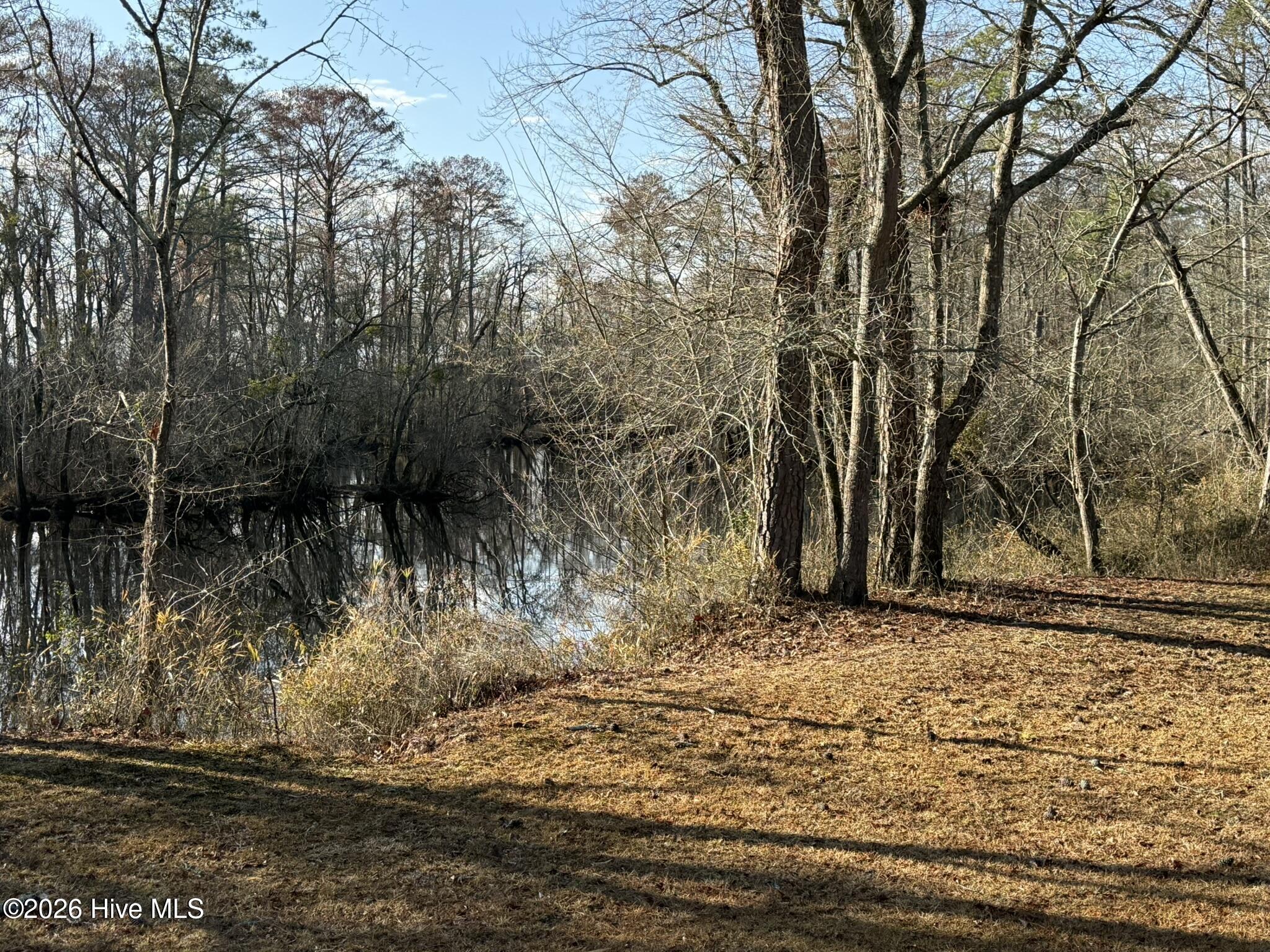 103 Raccoon Property Photo 5