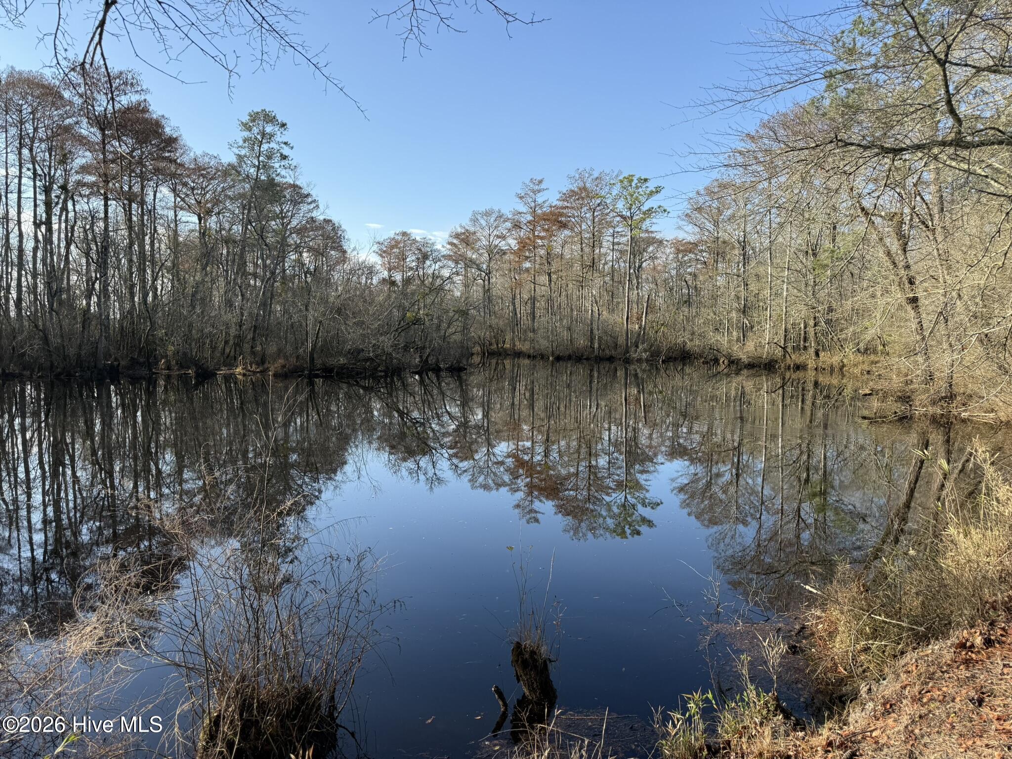 103 Raccoon Property Photo 6
