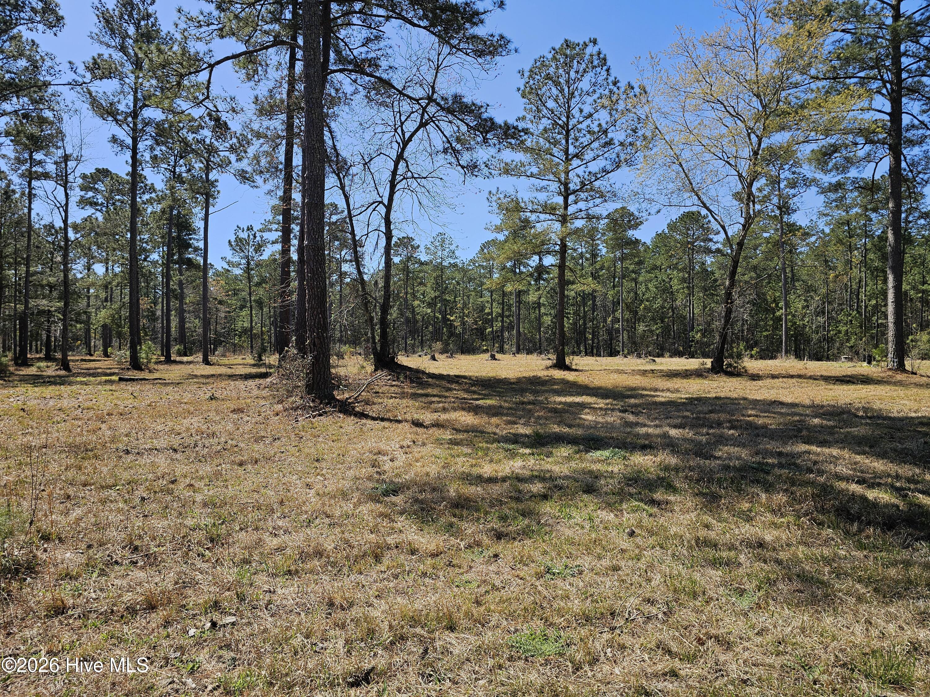 32 & 33 32 & 33 Bailey Pointe Drive Property Photo 13