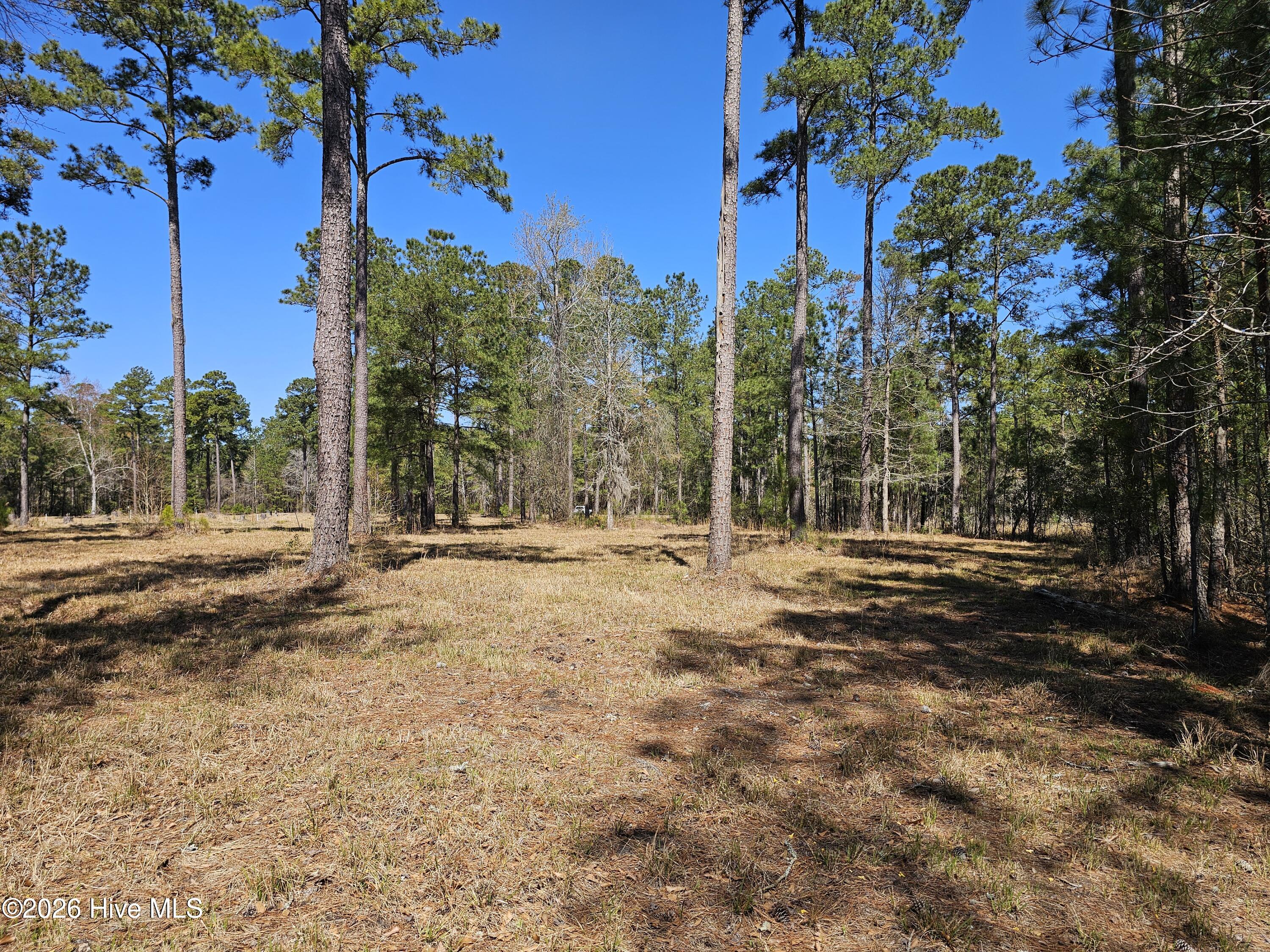 32 & 33 32 & 33 Bailey Pointe Drive Property Photo 21