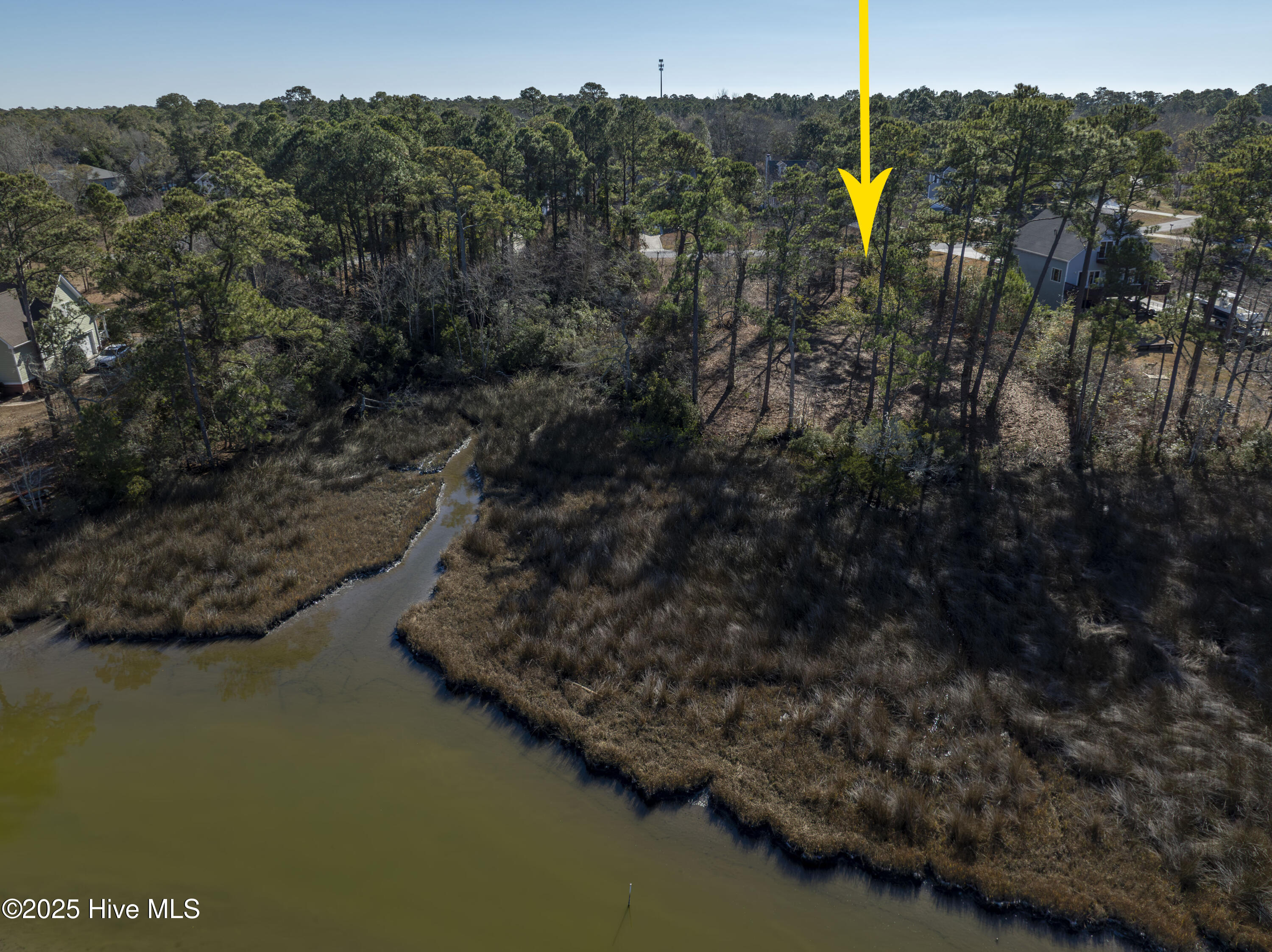 327 Chadwick Shores Drive Property Photo 4