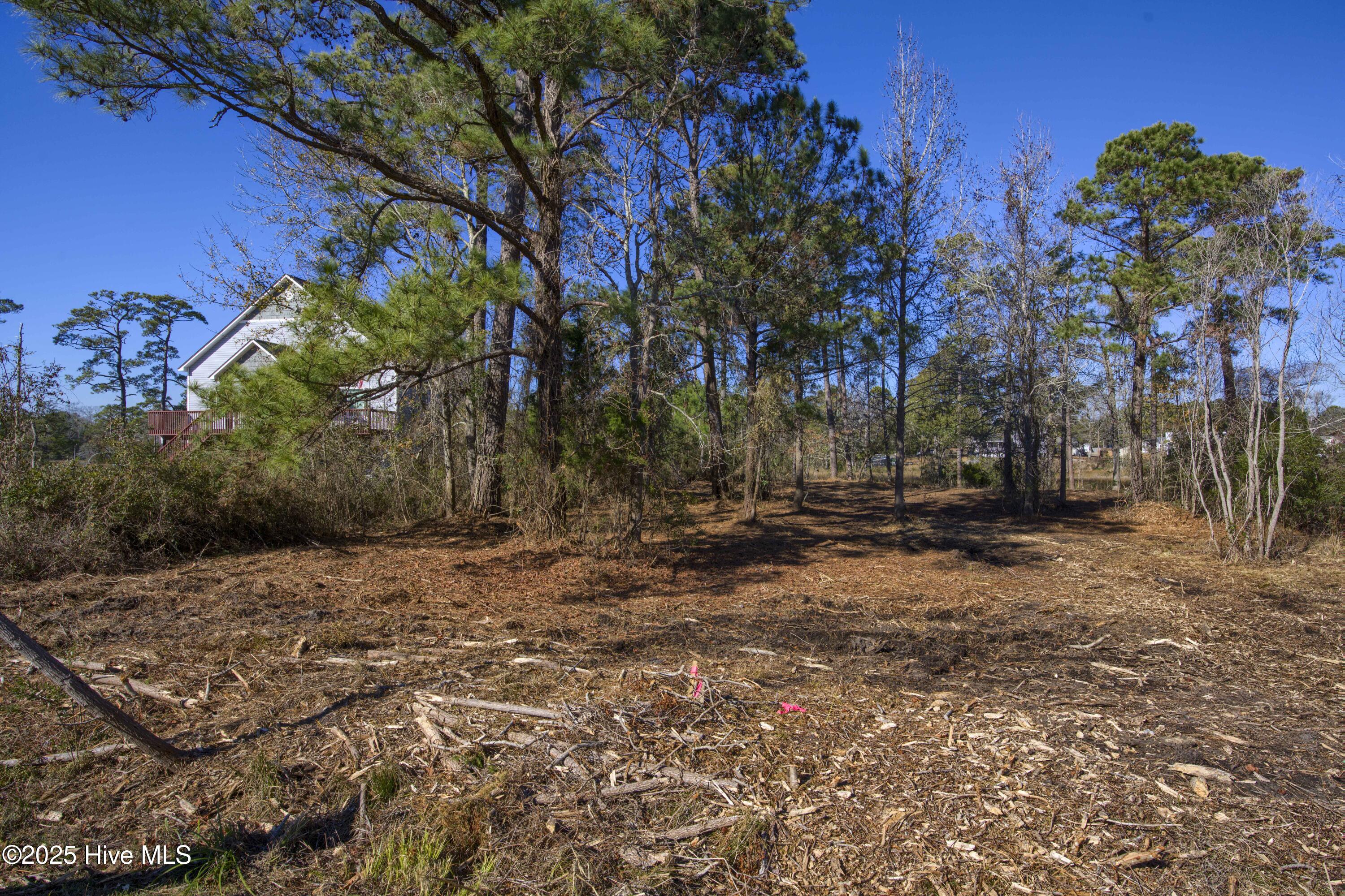 327 Chadwick Shores Drive Property Photo 43