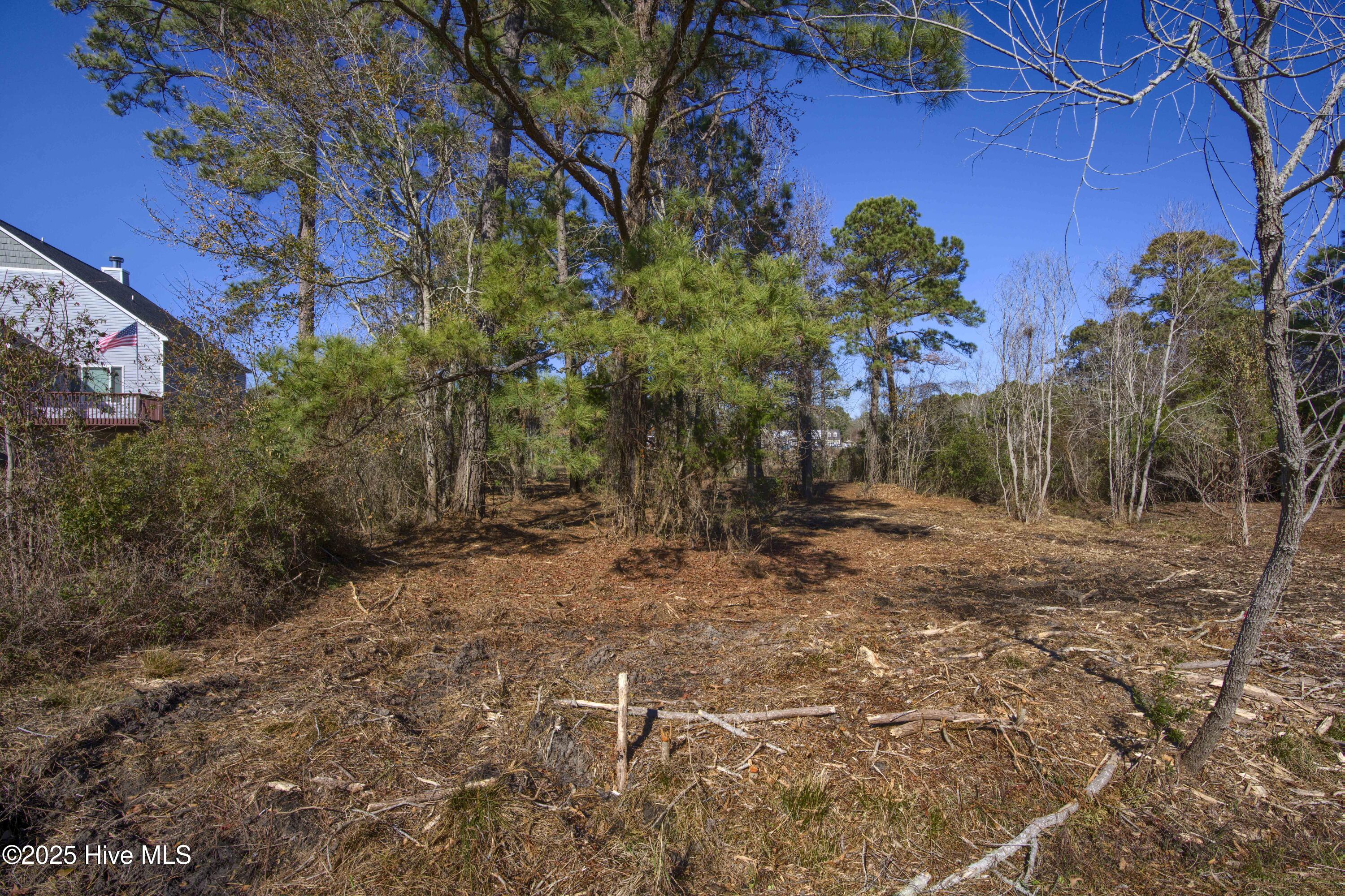 327 Chadwick Shores Drive Property Photo 45