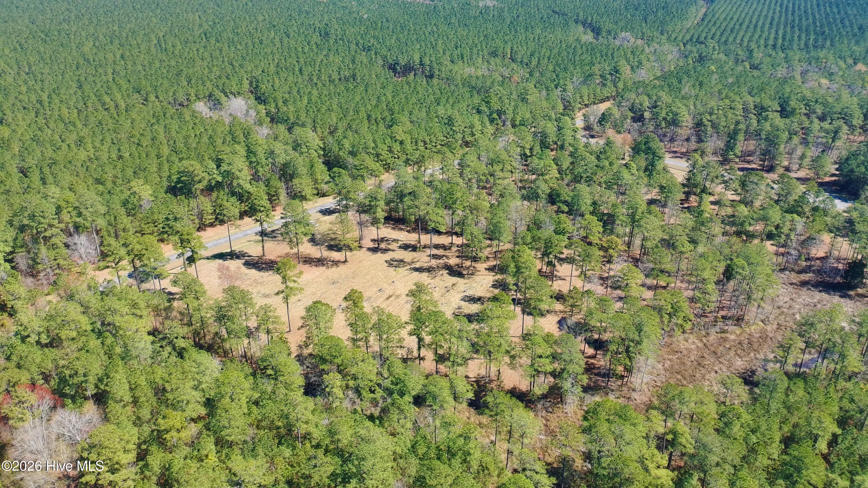 Lot 33 33 Bailey Pointe Drive Property Photo 7