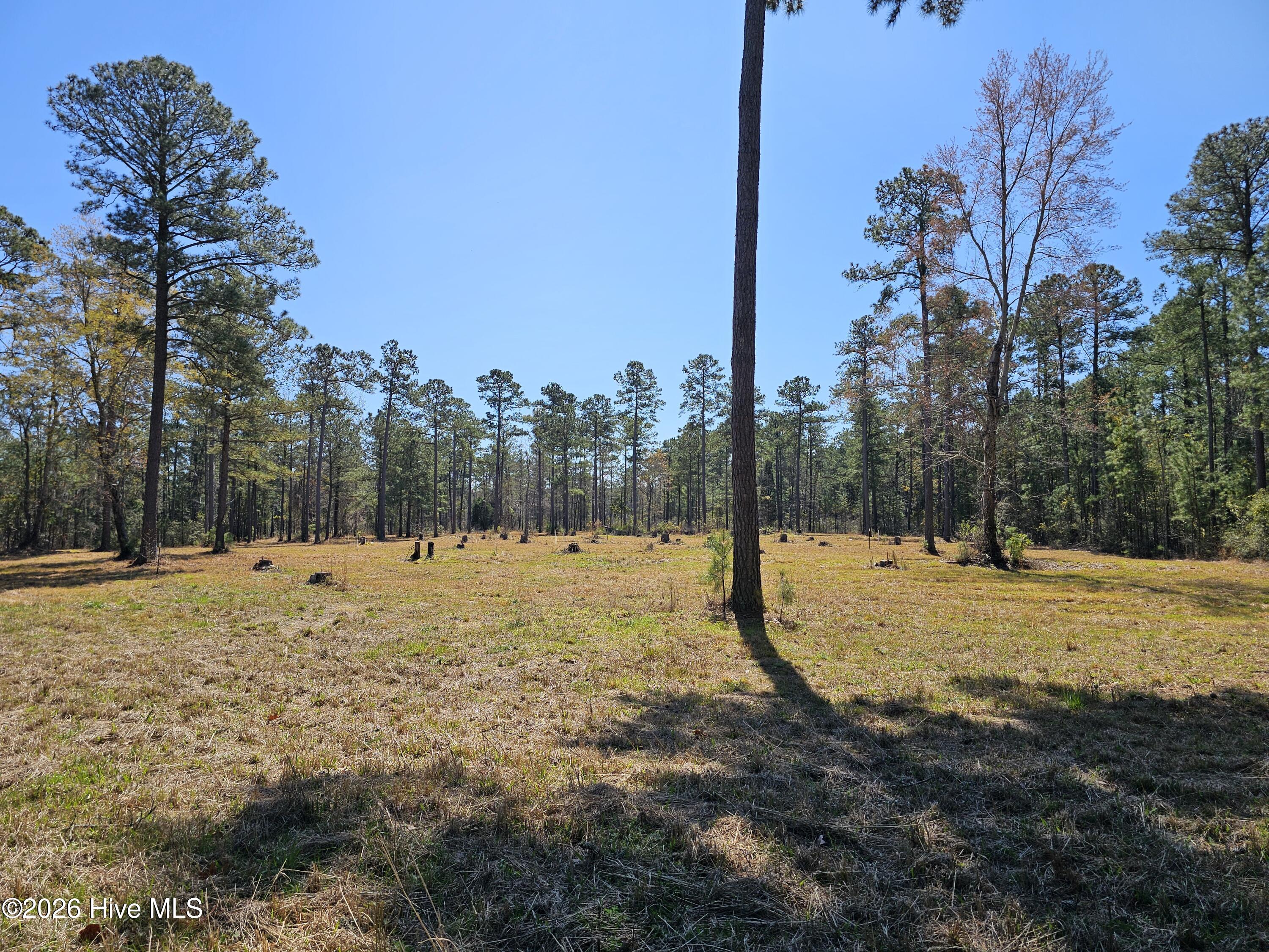 Lot 33 33 Bailey Pointe Drive Property Photo 8