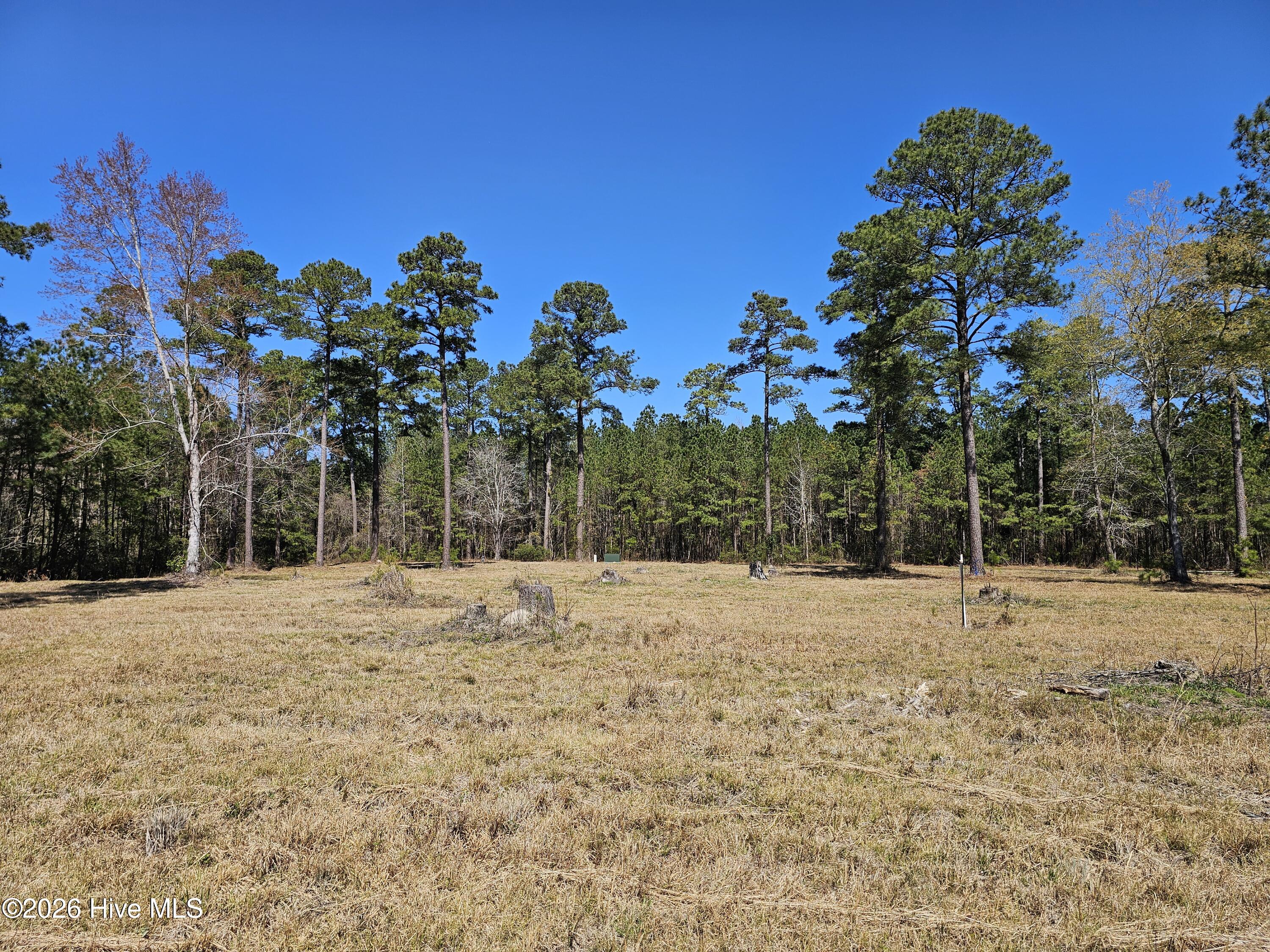 Lot 33 33 Bailey Pointe Drive Property Photo 9