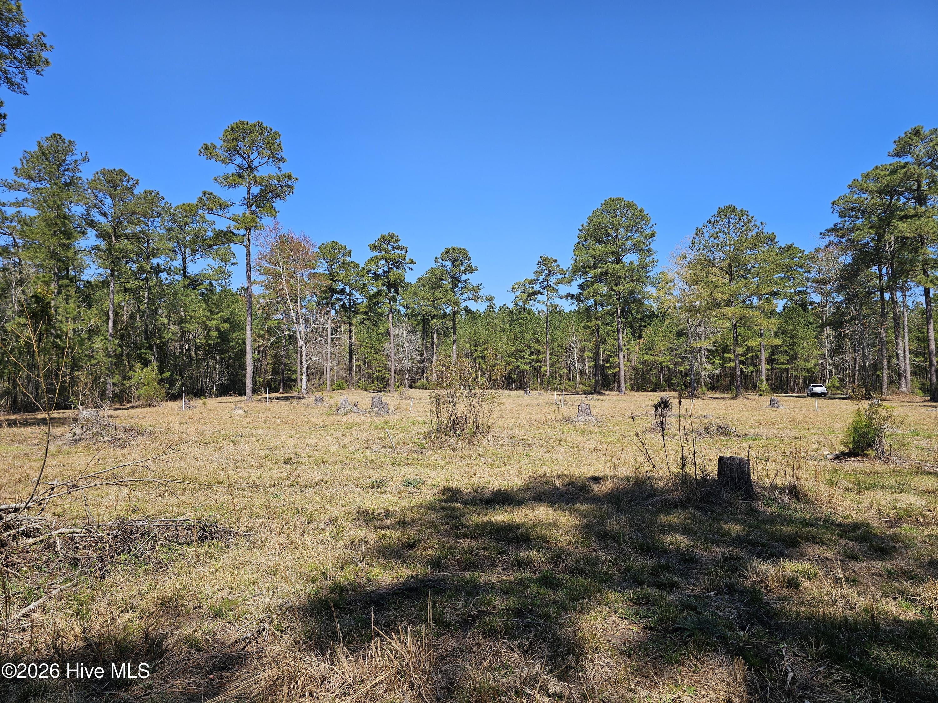 Lot 33 33 Bailey Pointe Drive Property Photo 10