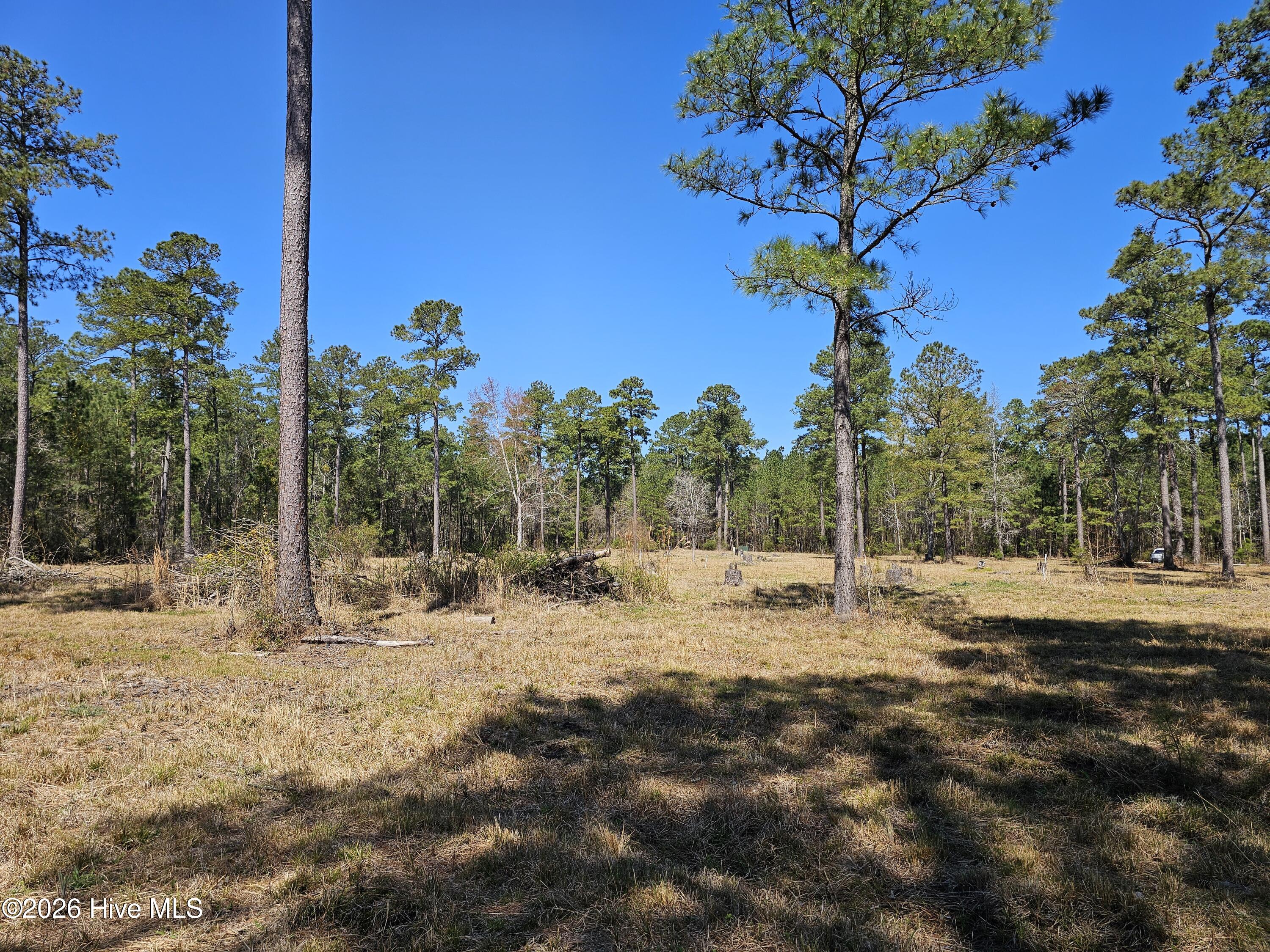 Lot 33 33 Bailey Pointe Drive Property Photo 11