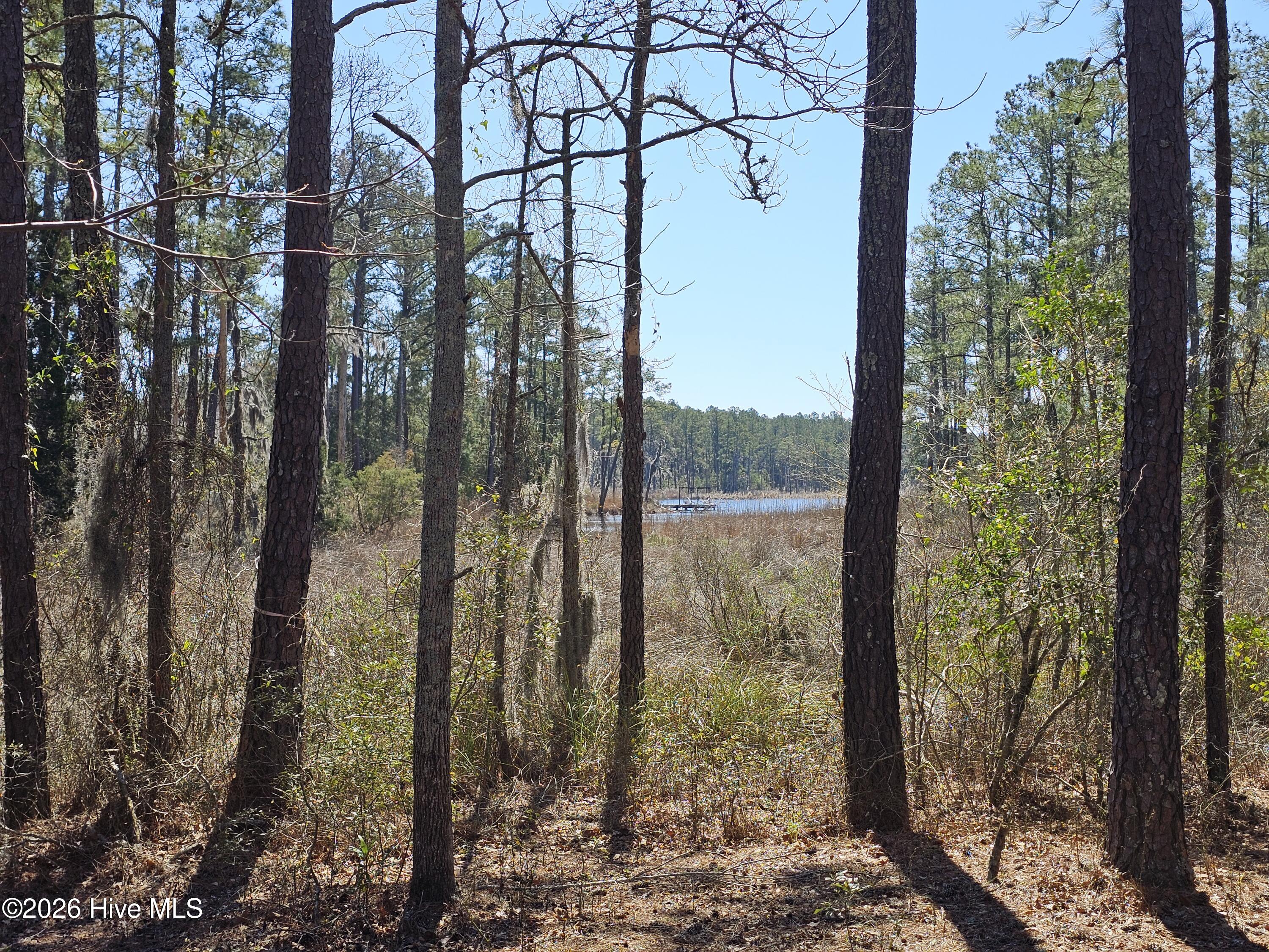 Lot 33 33 Bailey Pointe Drive Property Photo 12