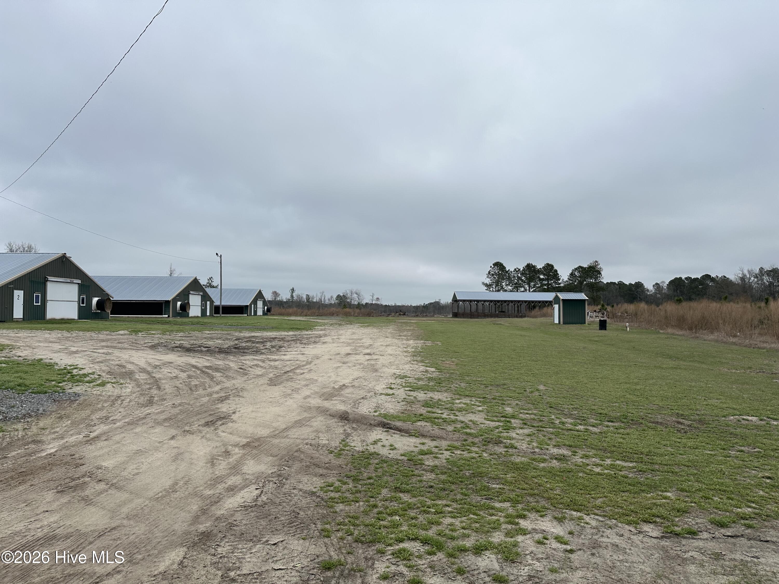 101 Big Biddy Lane Property Photo 6
