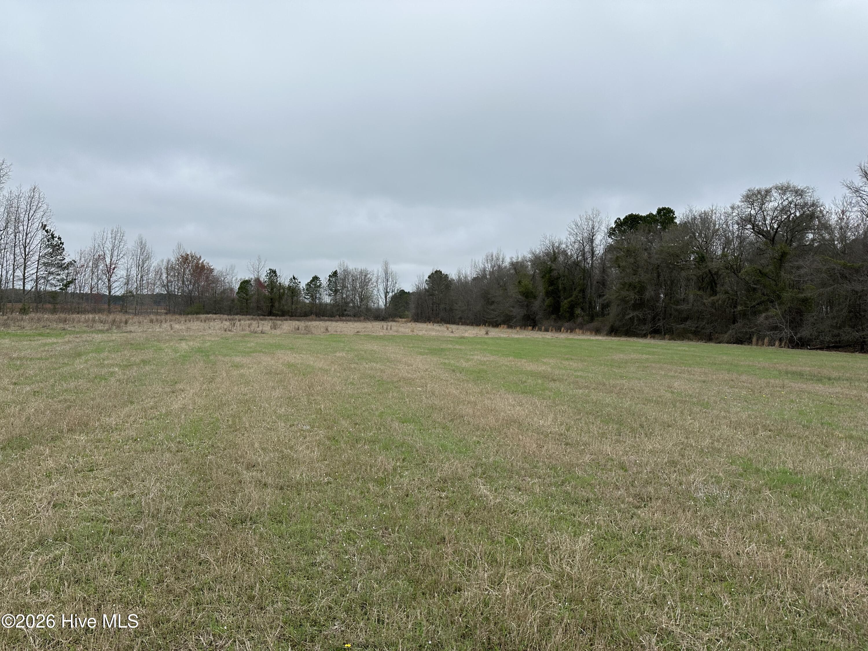 101 Big Biddy Lane Property Photo 13