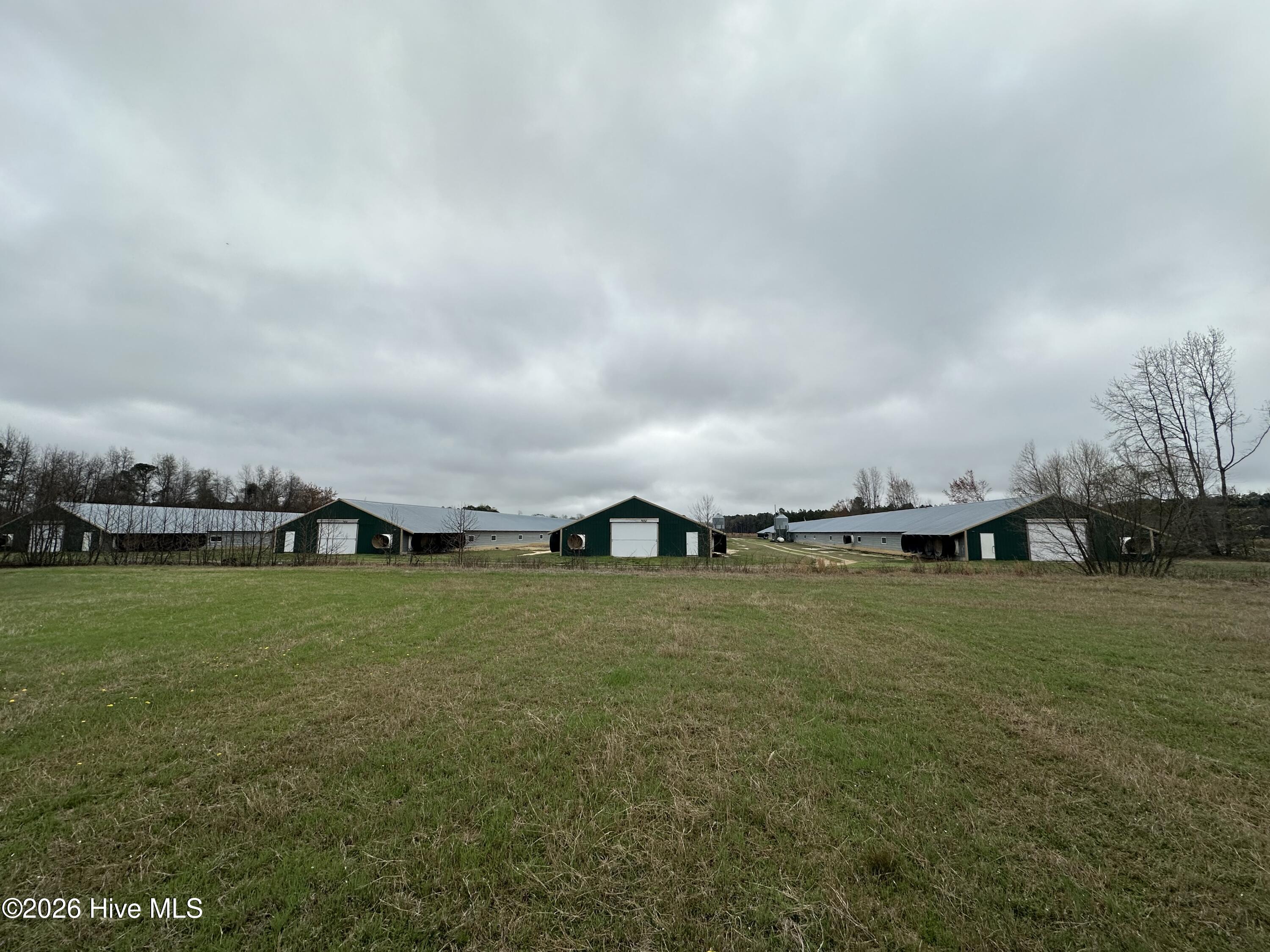 101 Big Biddy Lane Property Photo 14