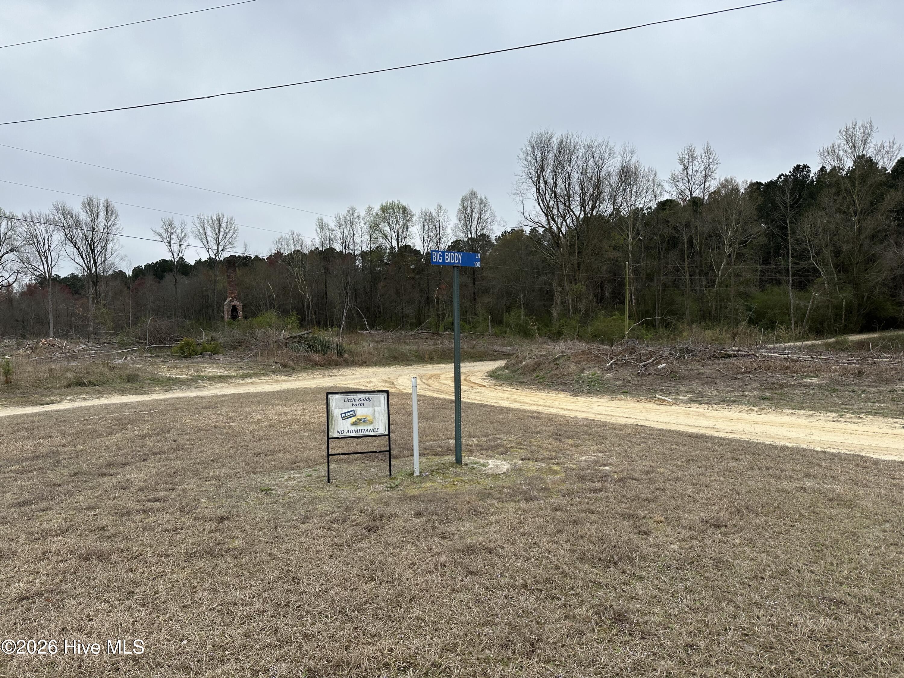 101 Big Biddy Lane Property Photo 16