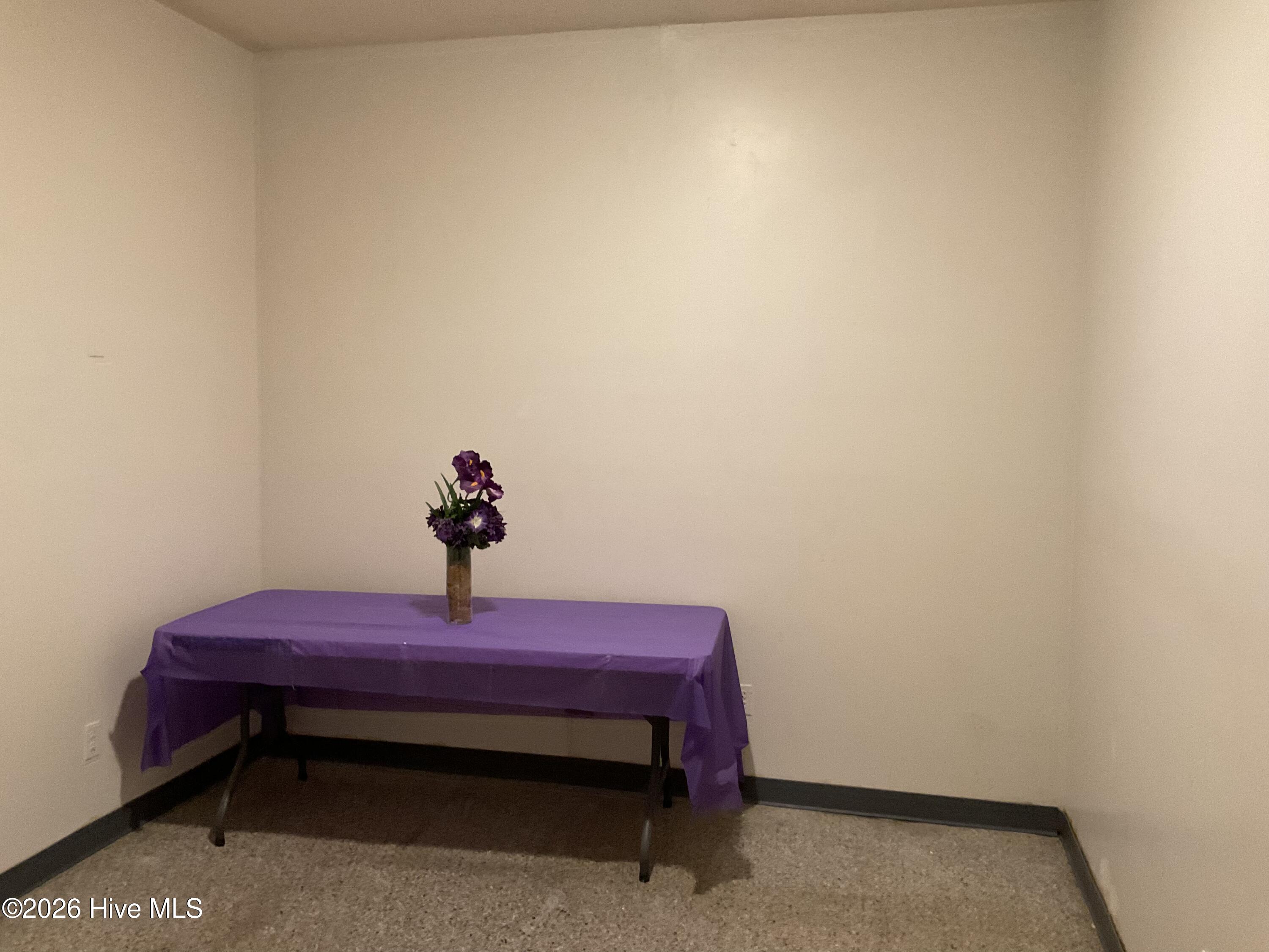 1011 W Thomas Street Property Photo 11