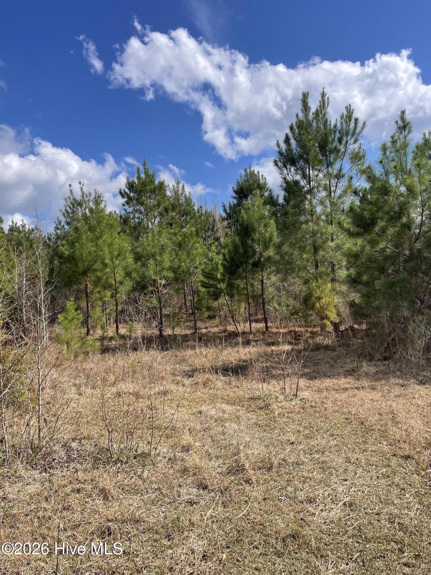 0 Split Drive Se Property Photo 2