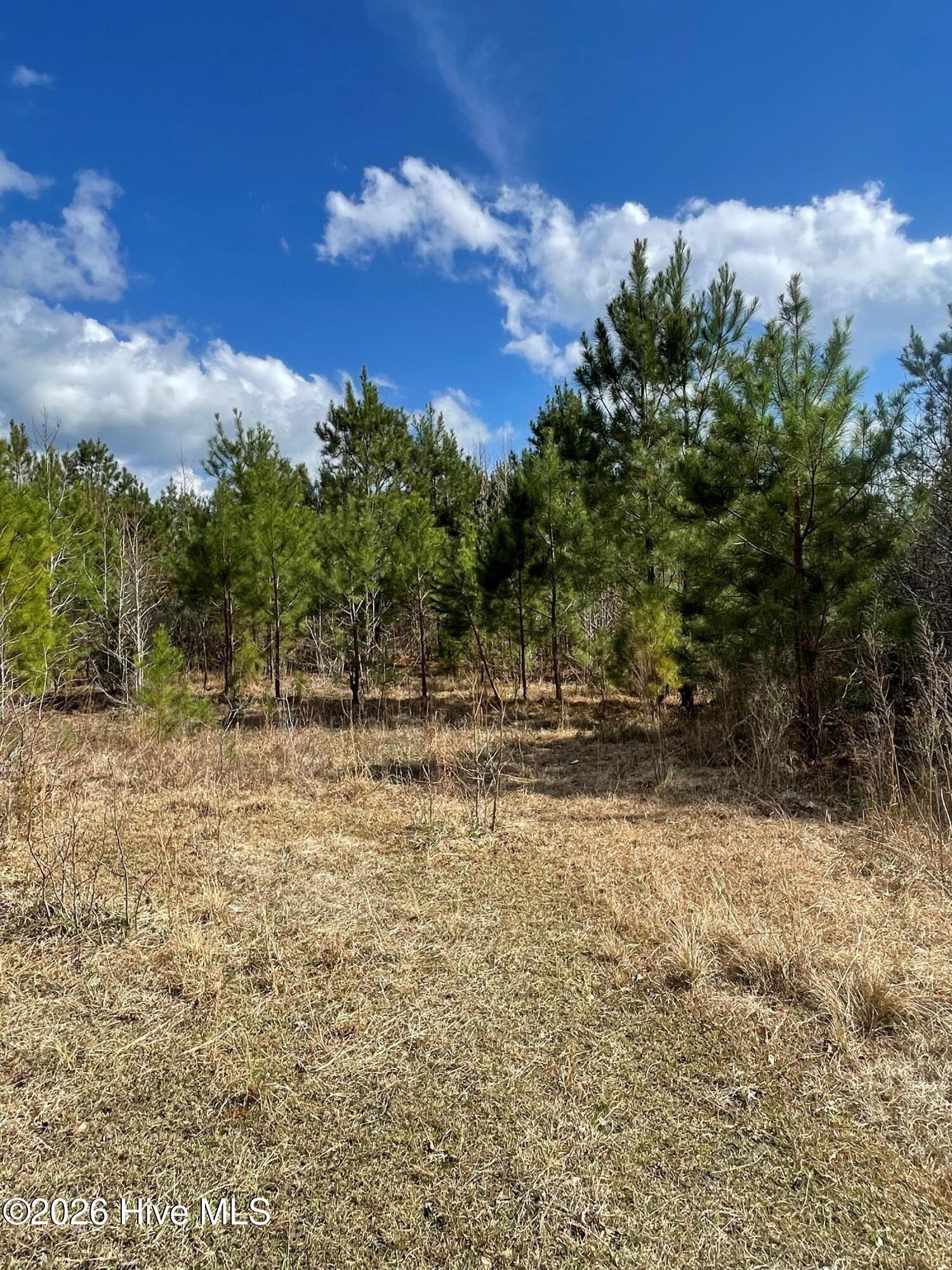 0 Split Drive Se Property Photo 6