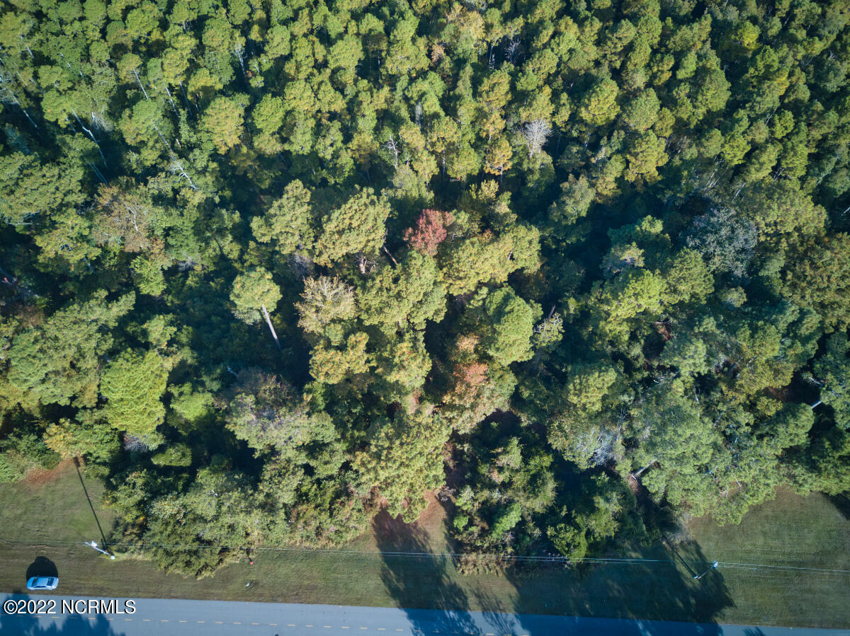 2000 Caracara Drive Property Photo 6