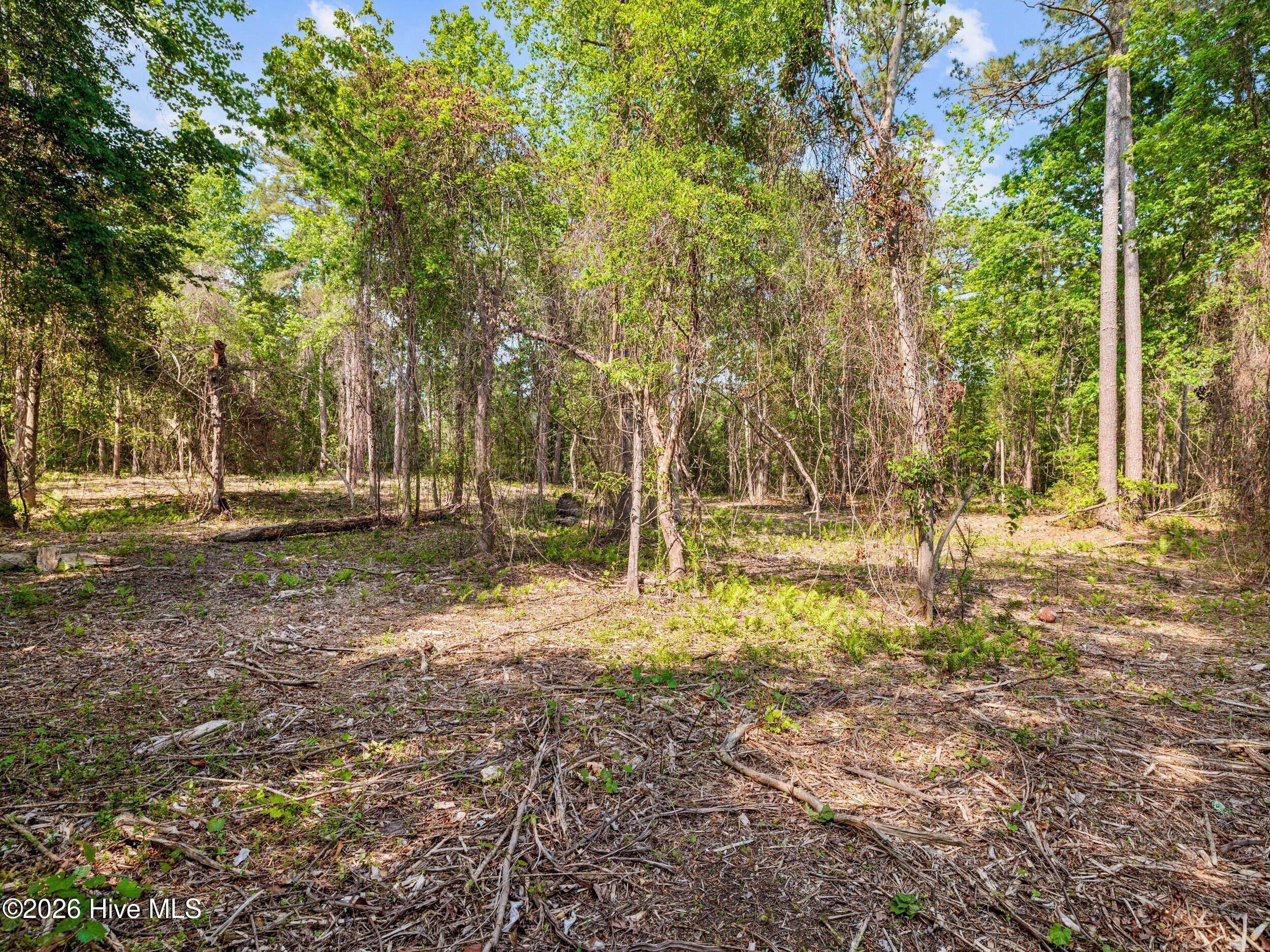 0 Bridge Side Drive E Property Photo 7