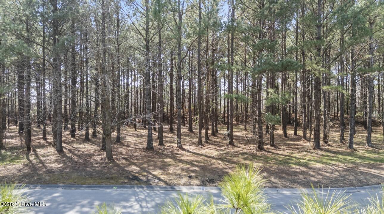 121 W Grandiflora Drive Property Photo 4