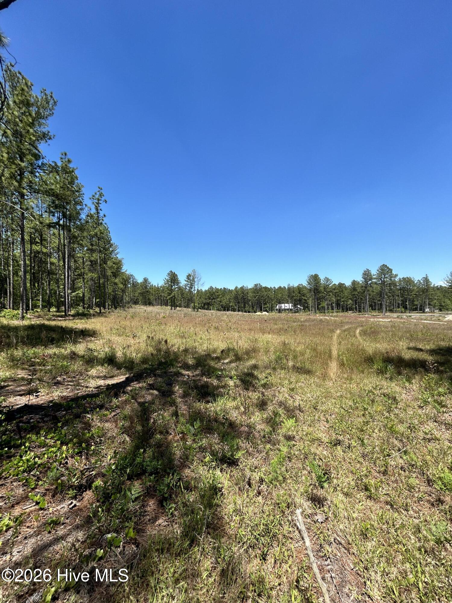 349 Lally Circle Property Photo 4