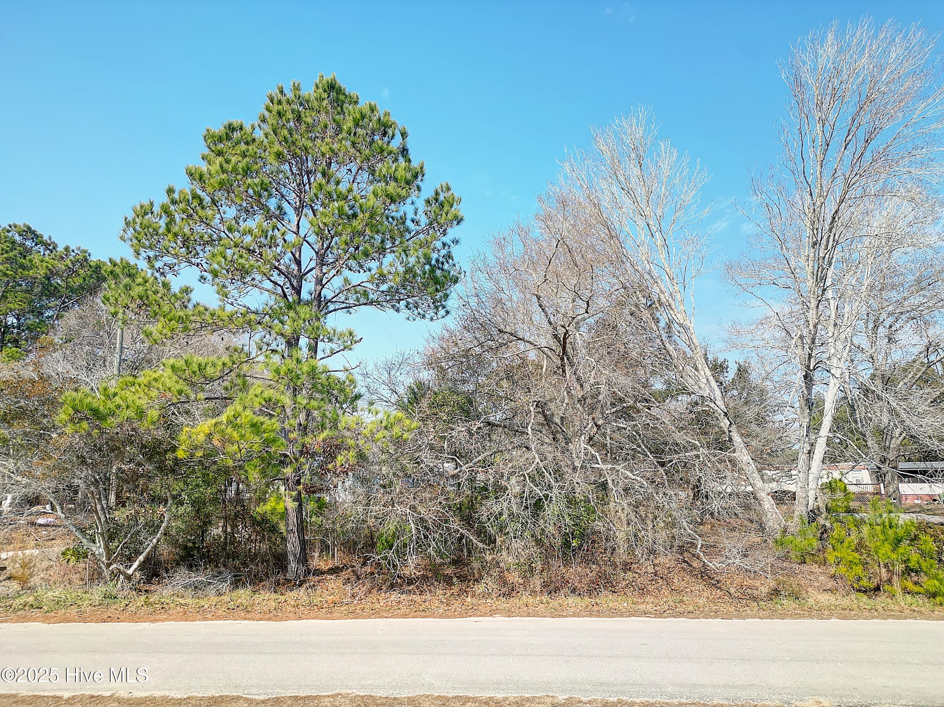1602 175 Little Shallotte River Drive Sw Property Photo 4