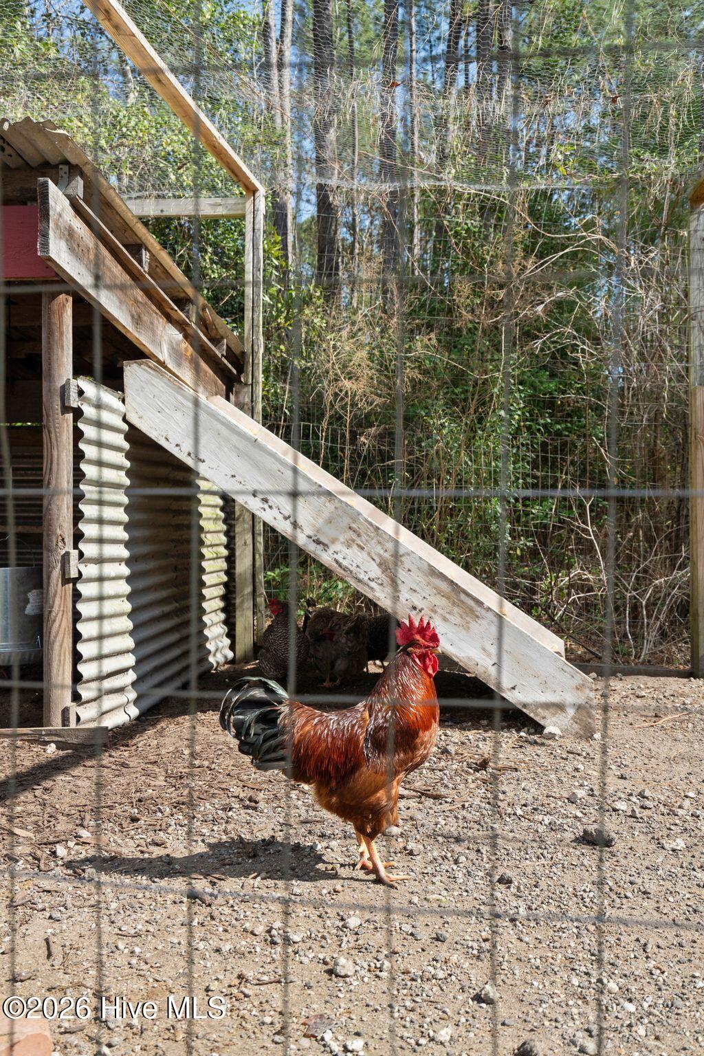 460 Oakey Point Road Property Photo 100