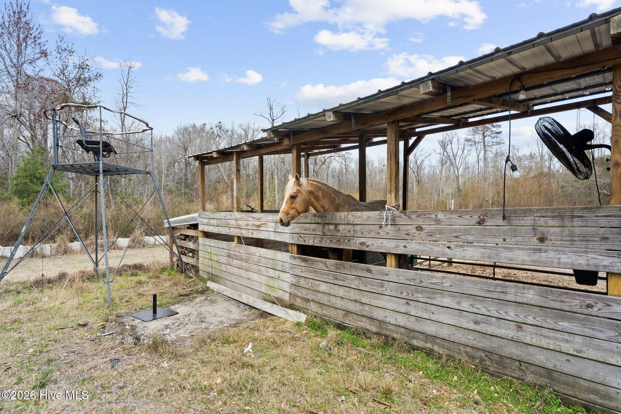 460 Oakey Point Road Property Photo 107