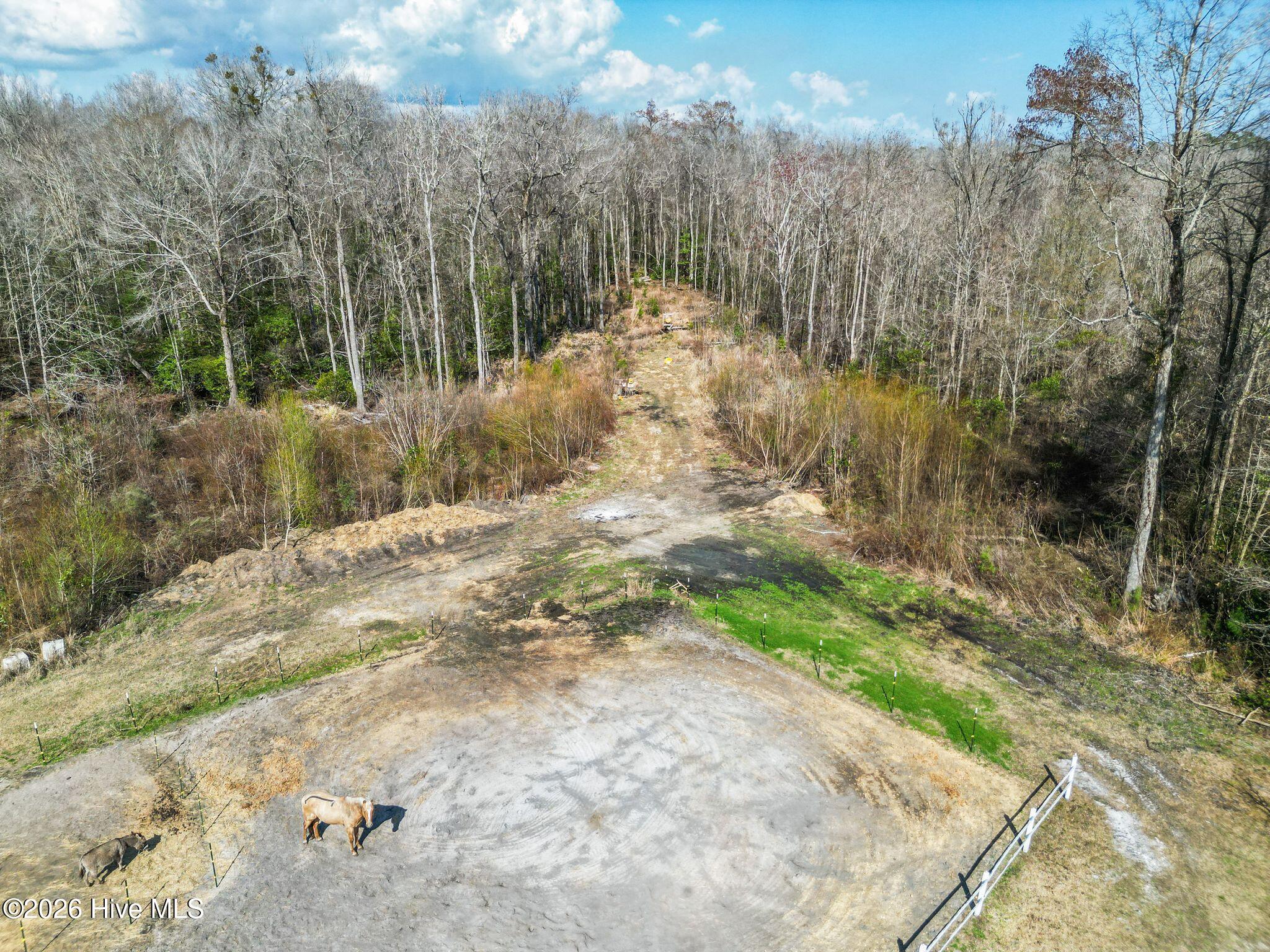460 Oakey Point Road Property Photo 114