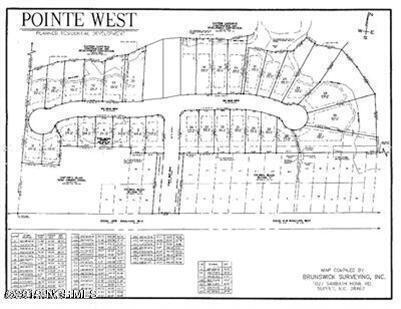 1064 8 Tide Ridge Drive Property Photo 42
