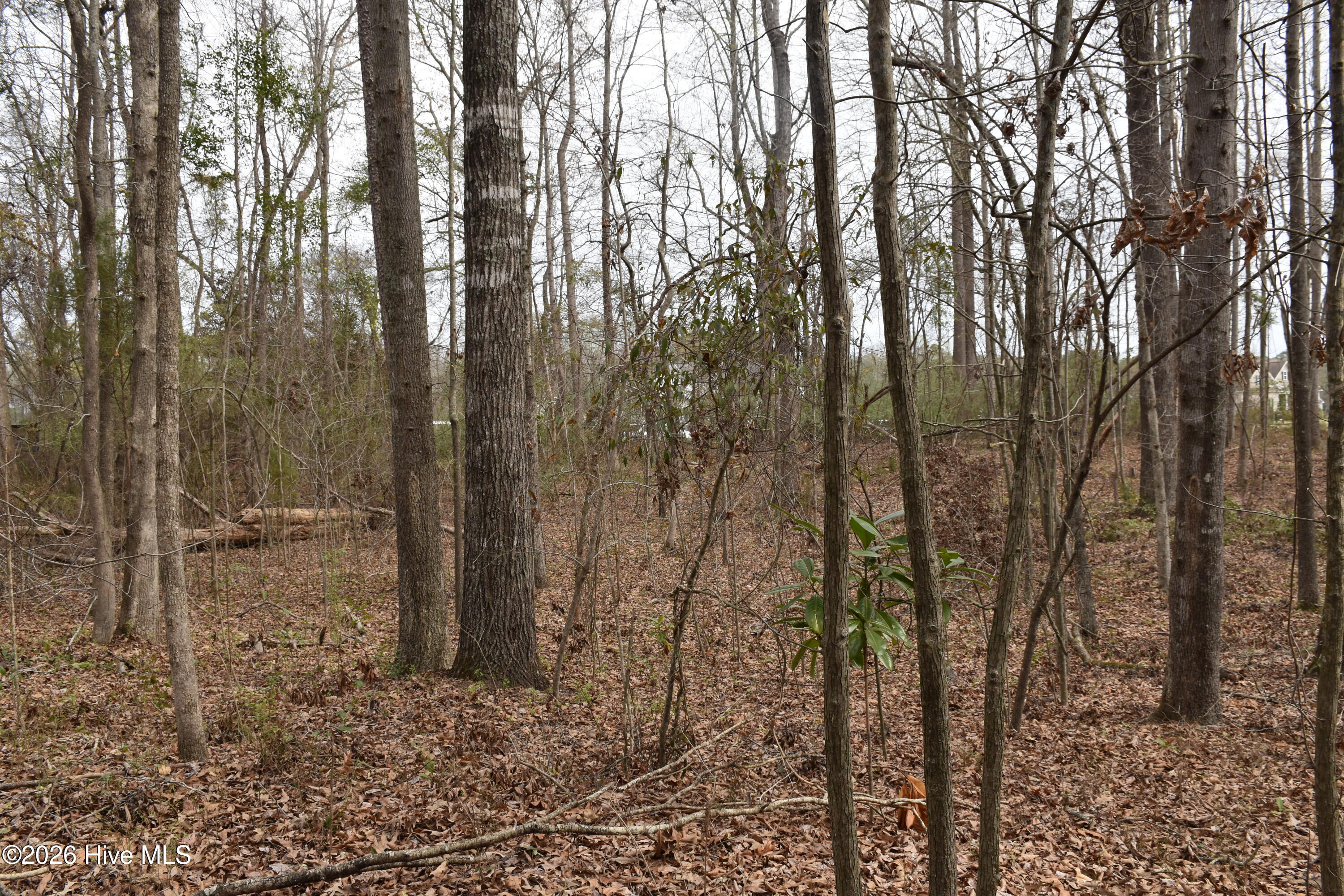 18 Bridgewater Drive S Property Photo 9