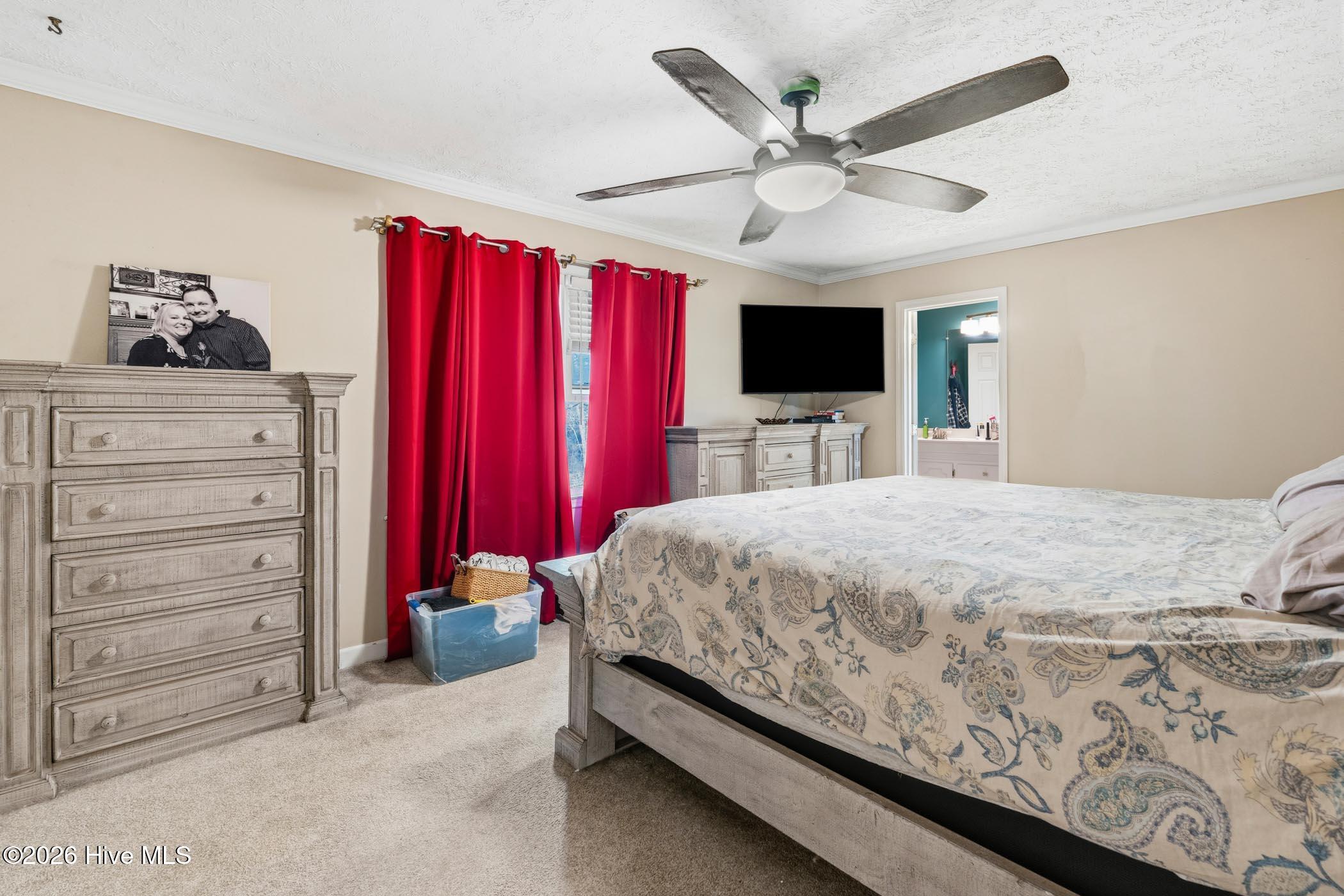 1203 Turnpike Road Property Photo 28