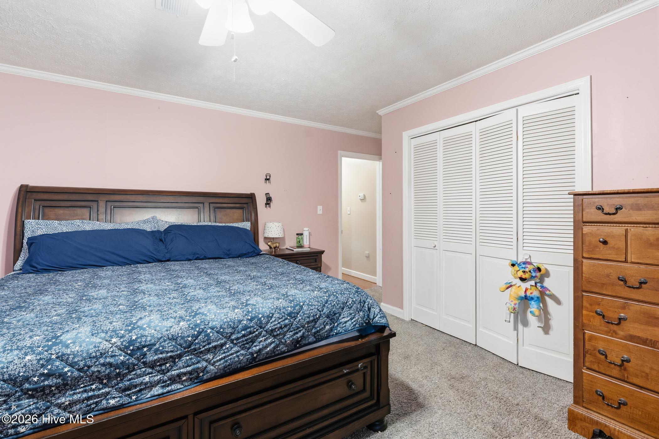 1203 Turnpike Road Property Photo 35