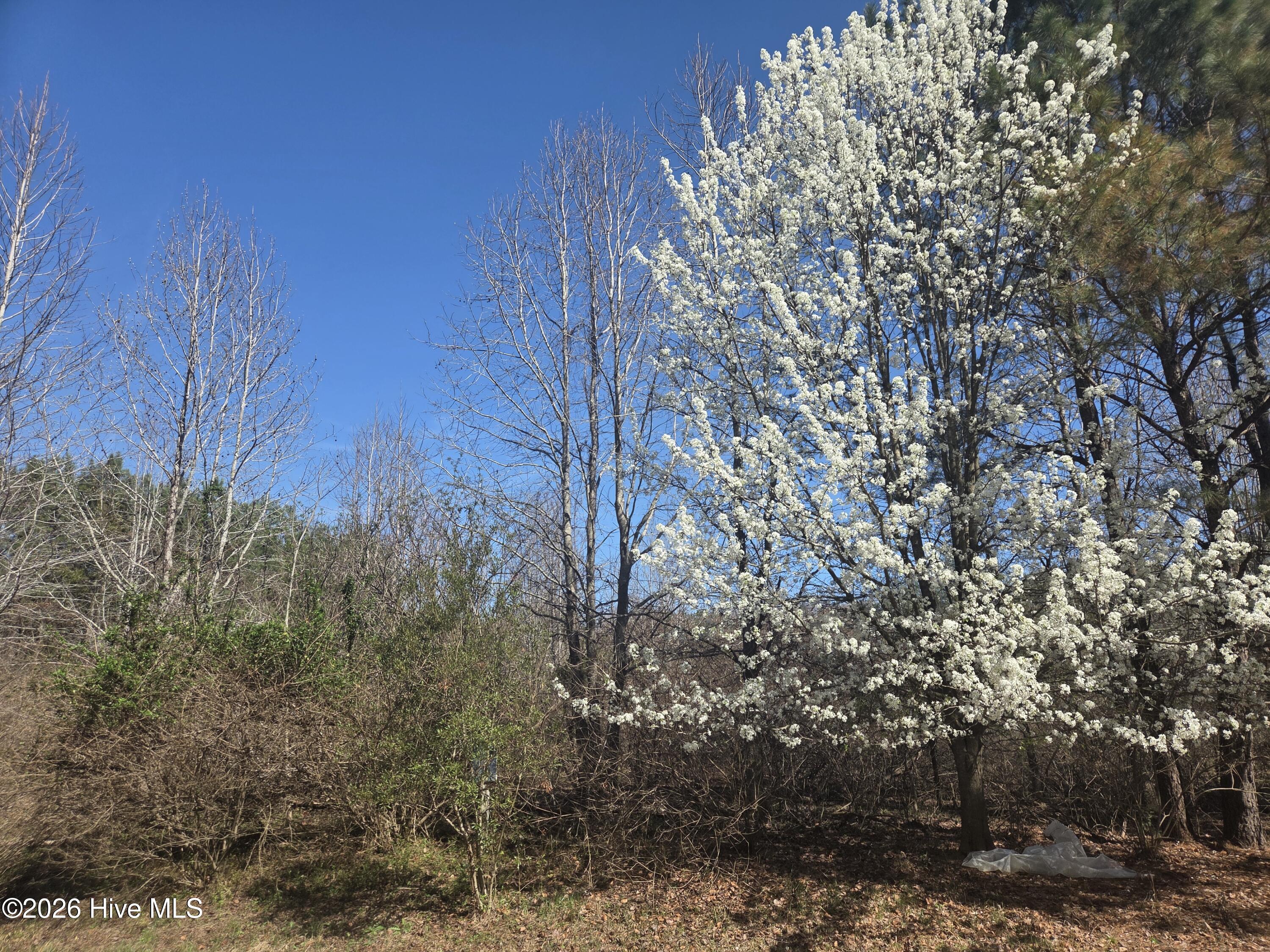 232 121 Winfall Circle Property Photo 2