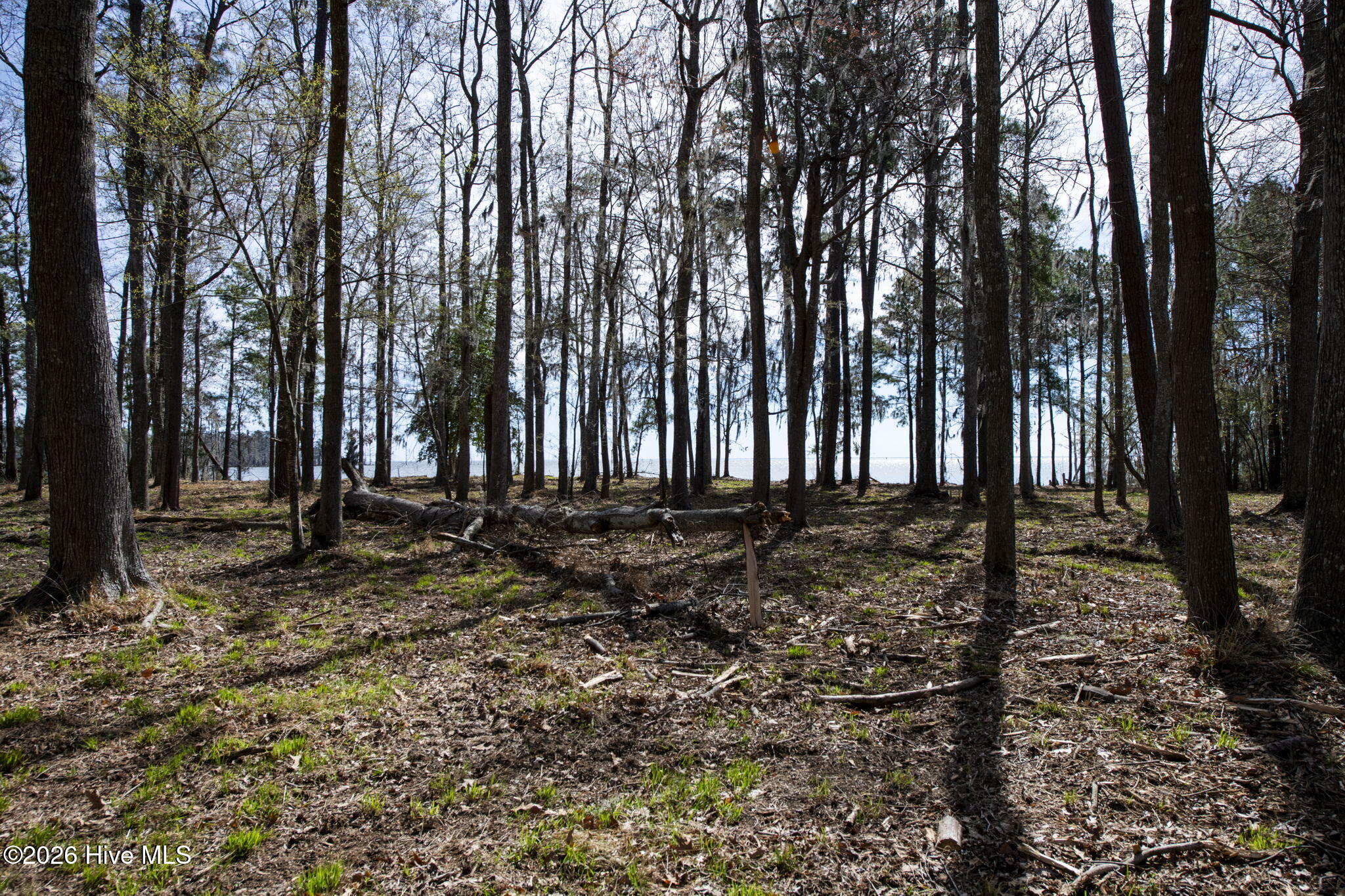 Lot 6 6 Peninsula Shores Way Property Photo 2