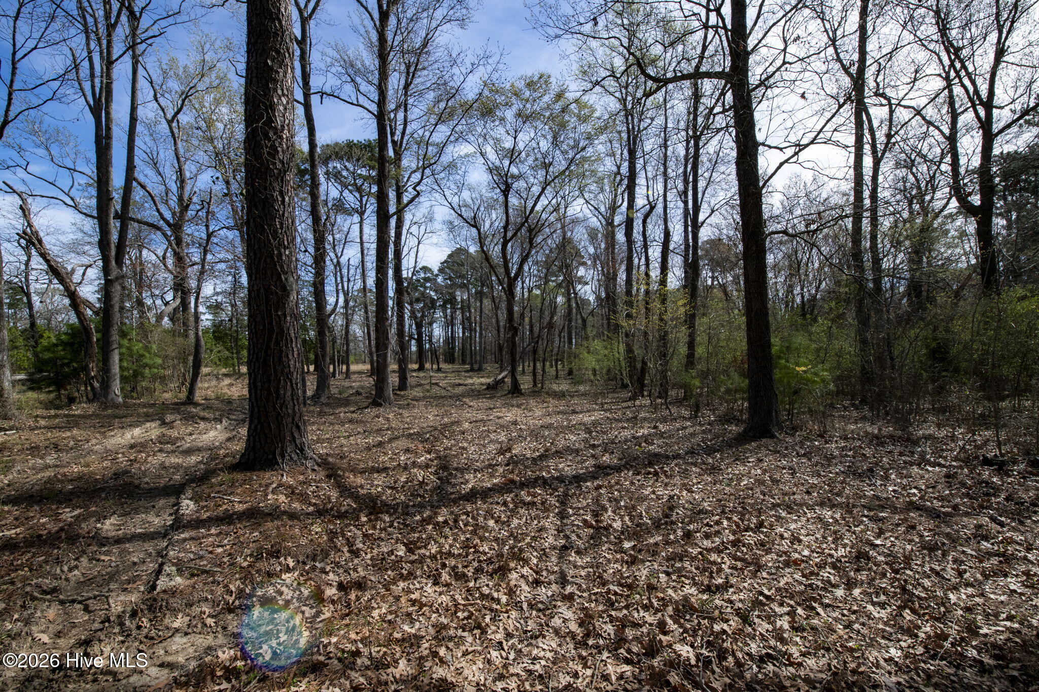 Lot 6 6 Peninsula Shores Way Property Photo 3