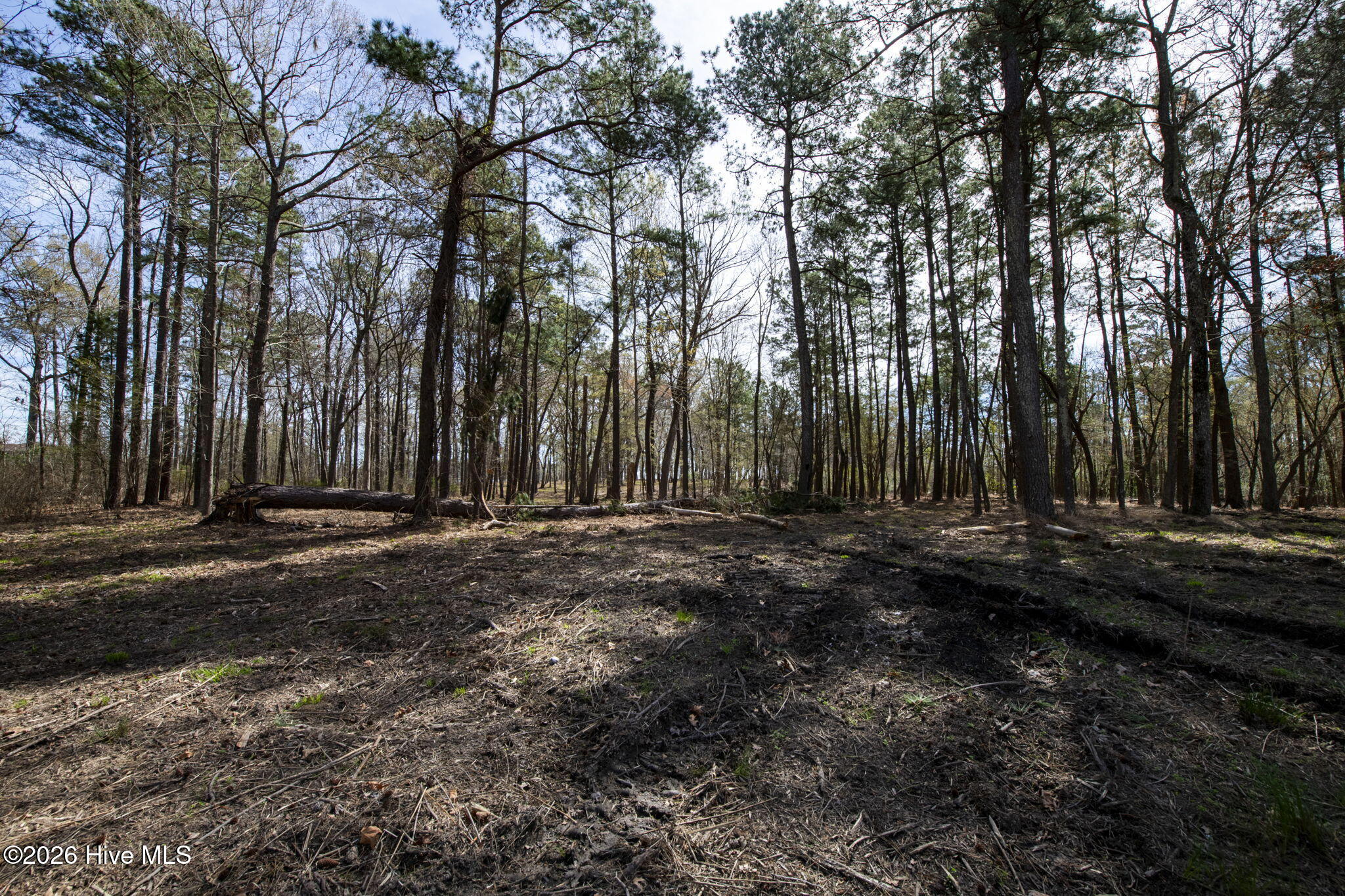 Lot 6 6 Peninsula Shores Way Property Photo 7