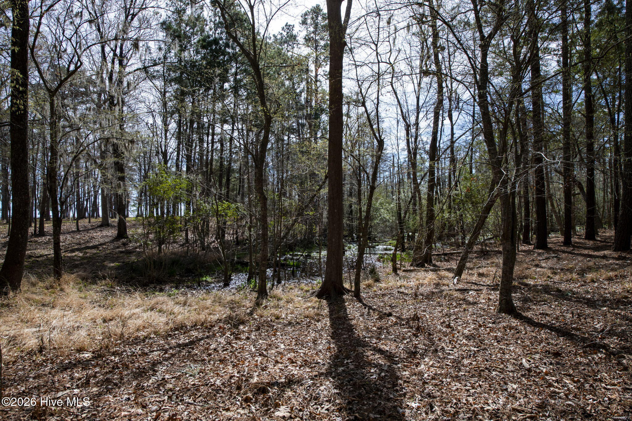 Lot 6 6 Peninsula Shores Way Property Photo 8