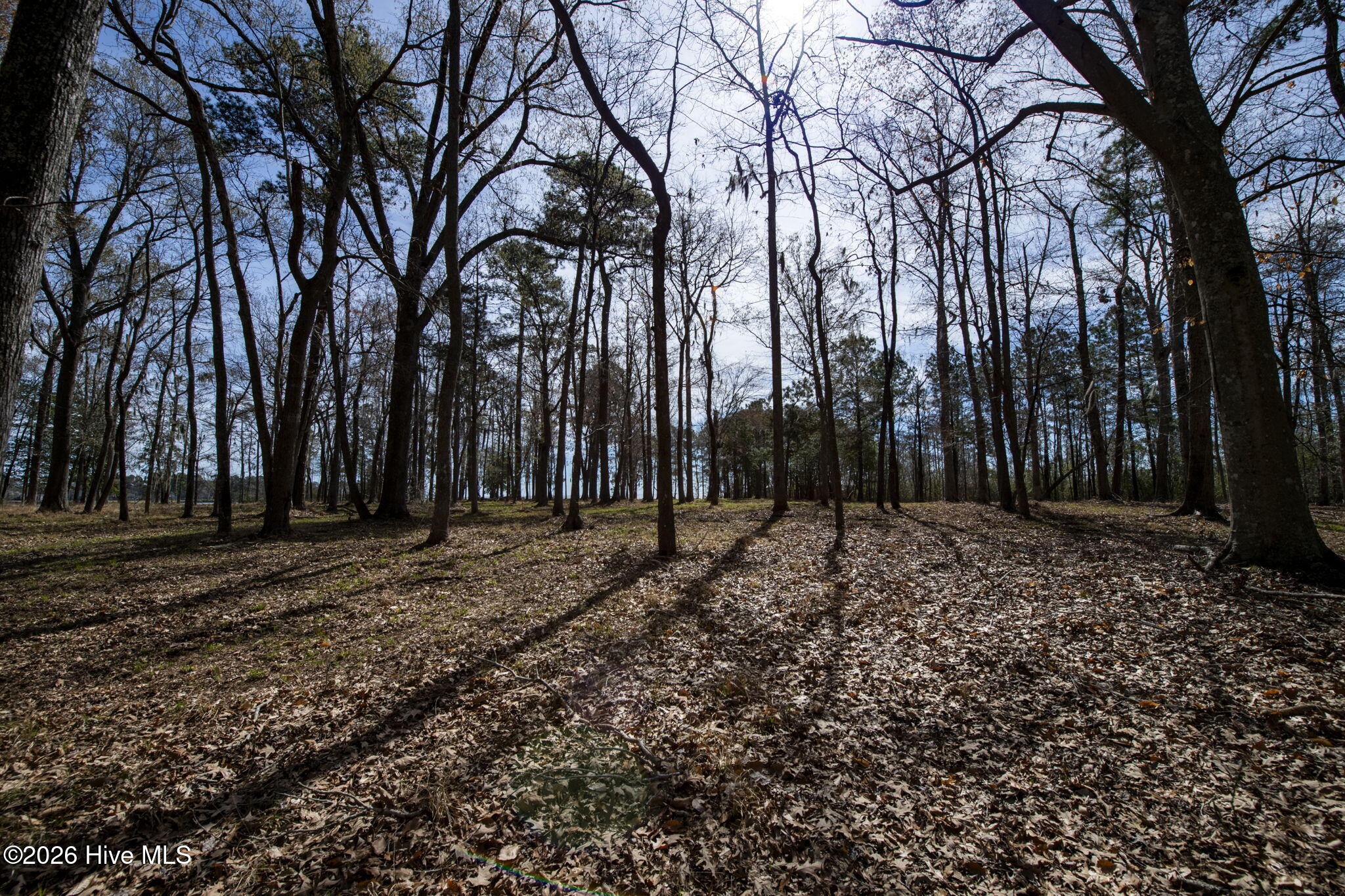 Lot 6 6 Peninsula Shores Way Property Photo 9