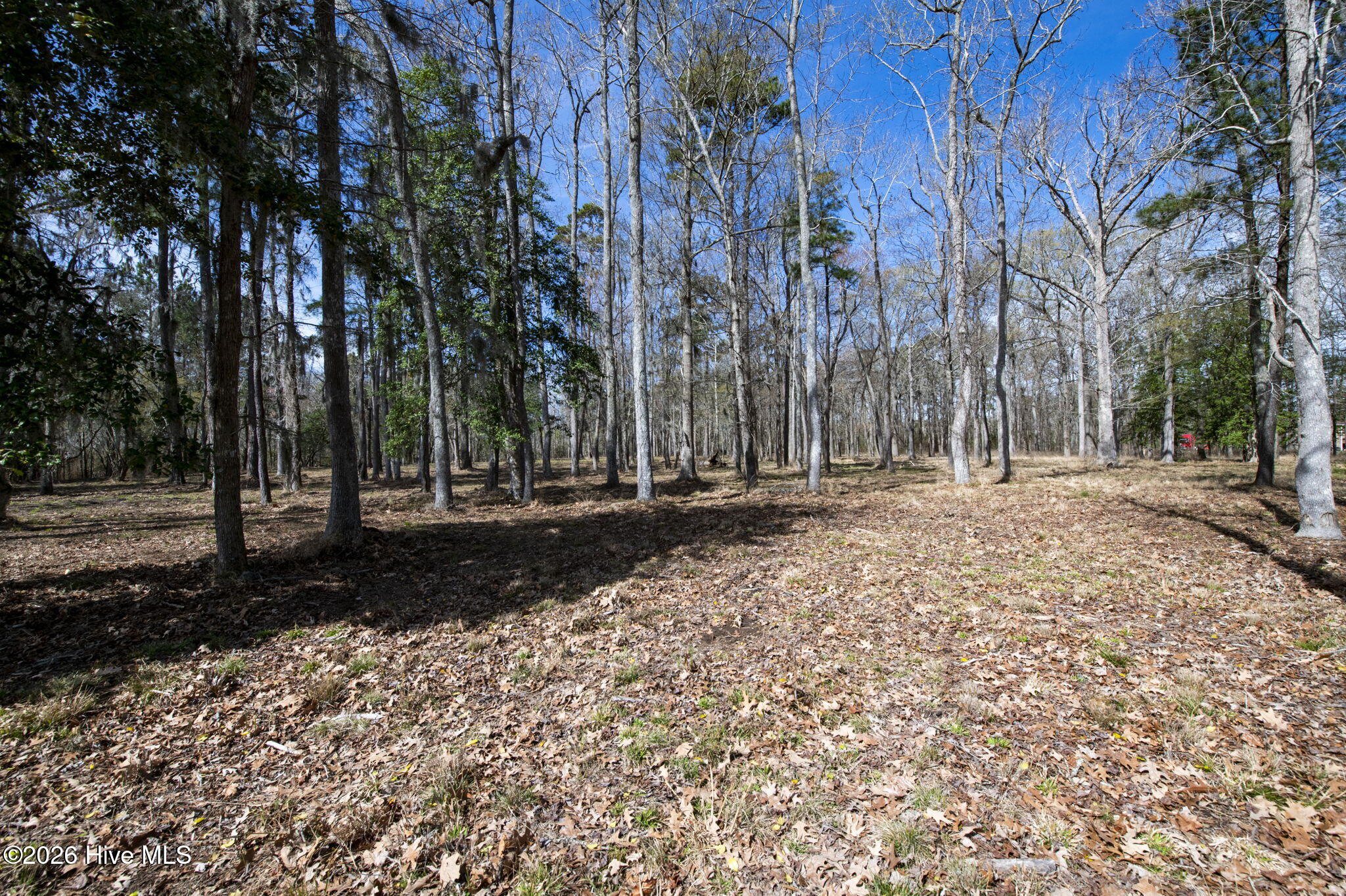 Lot 6 6 Peninsula Shores Way Property Photo 30