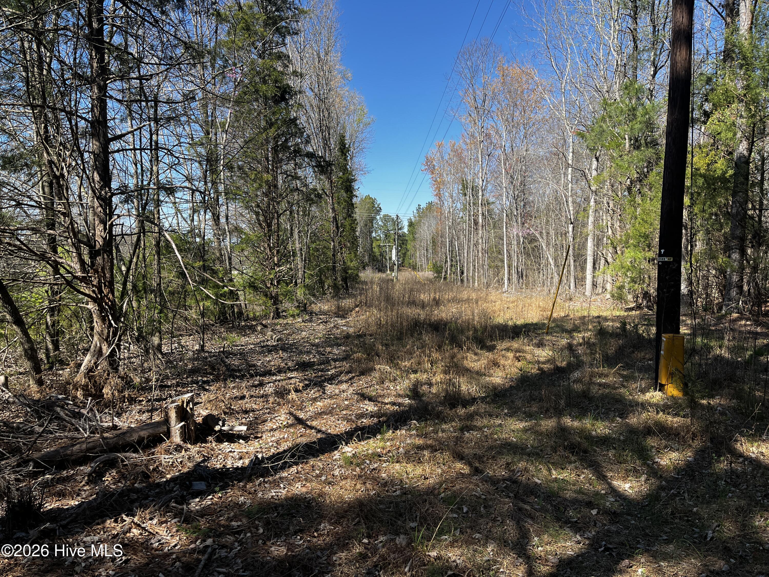 1030 Piney Grove Church Road Property Photo 4