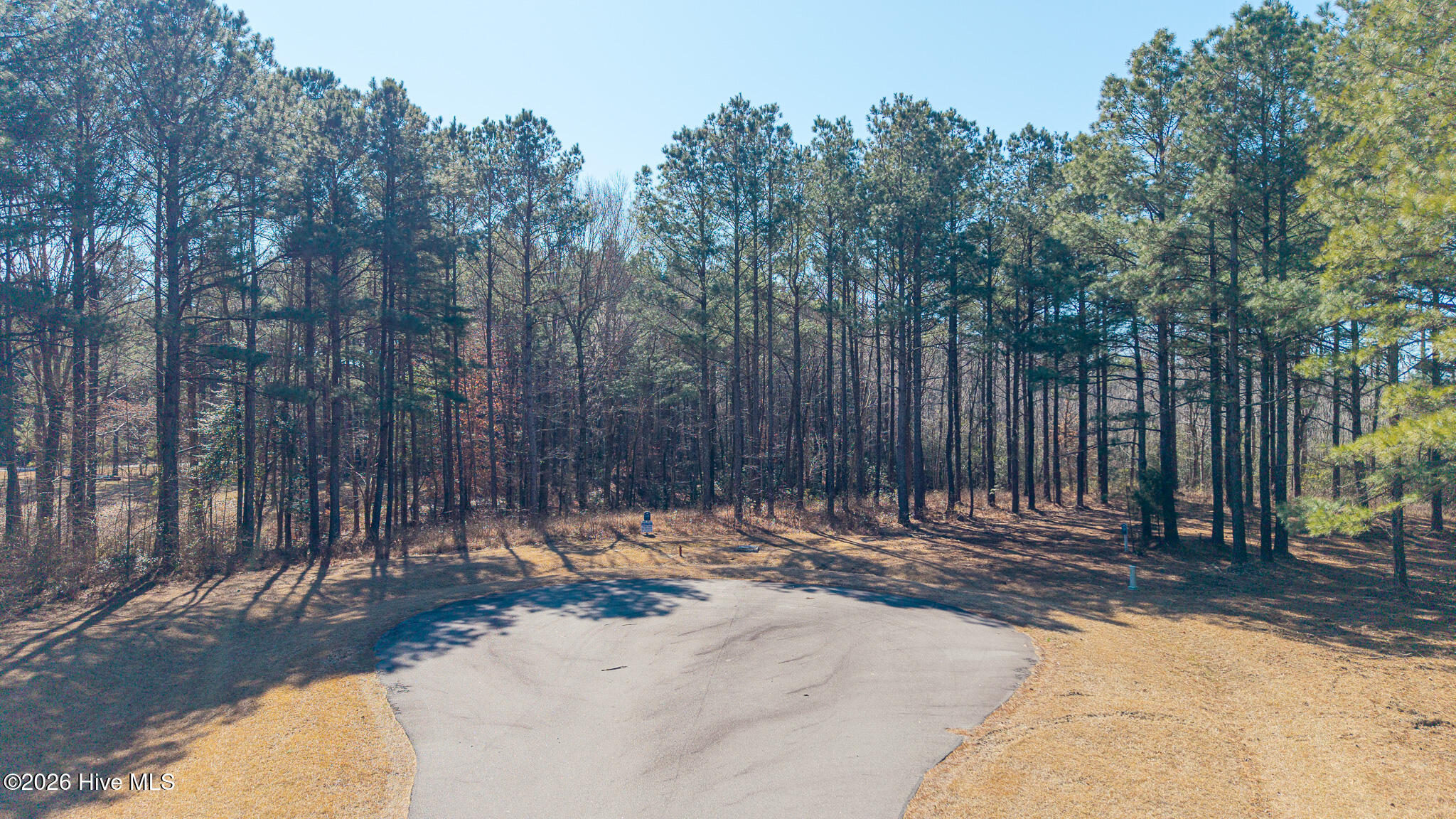 312 203 Plumtree Circle Property Photo 4