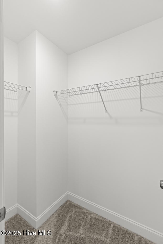 109 Plum Court Property Photo 23