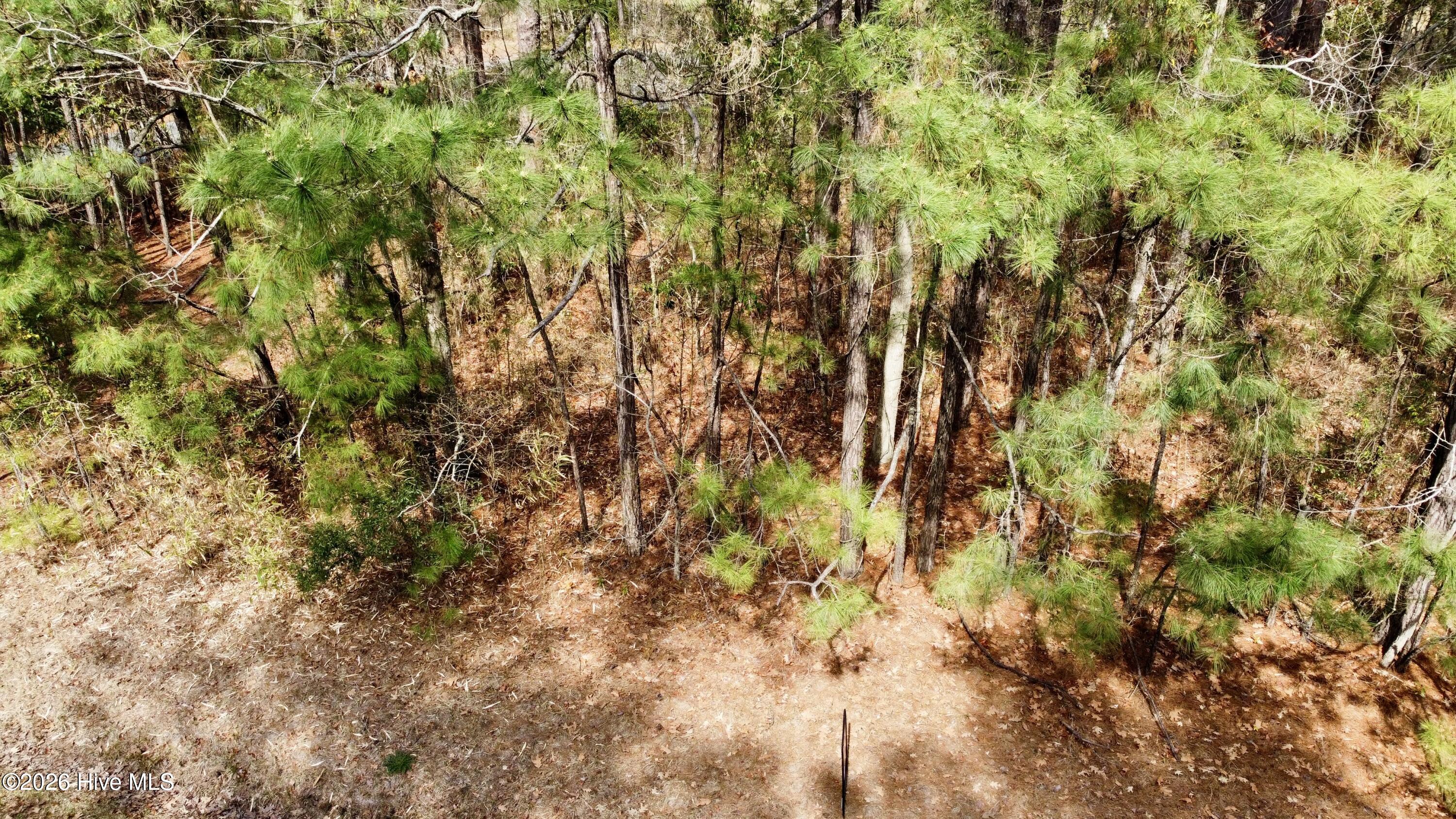 00 86 Doris Drive Property Photo 10