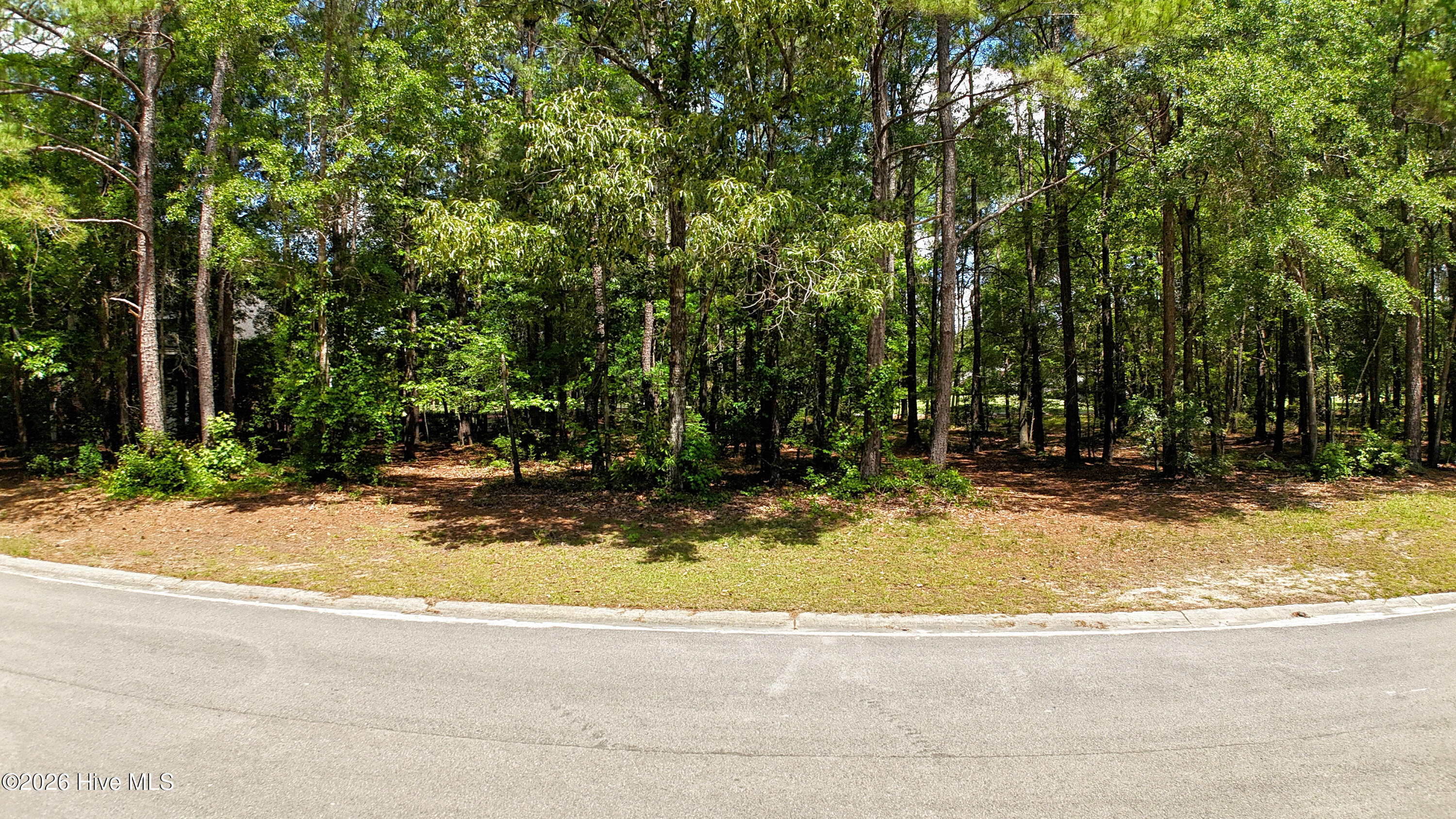 173 506 Red Berry Drive Property Photo 11