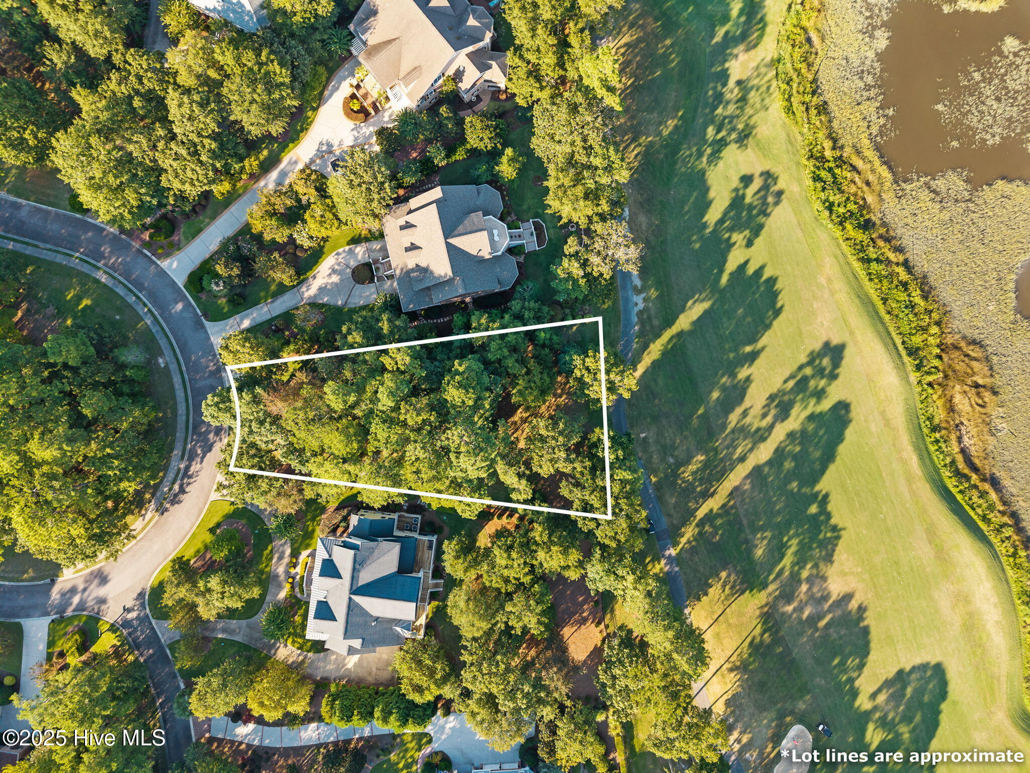 2138 Arnold Palmer Drive Property Photo 4