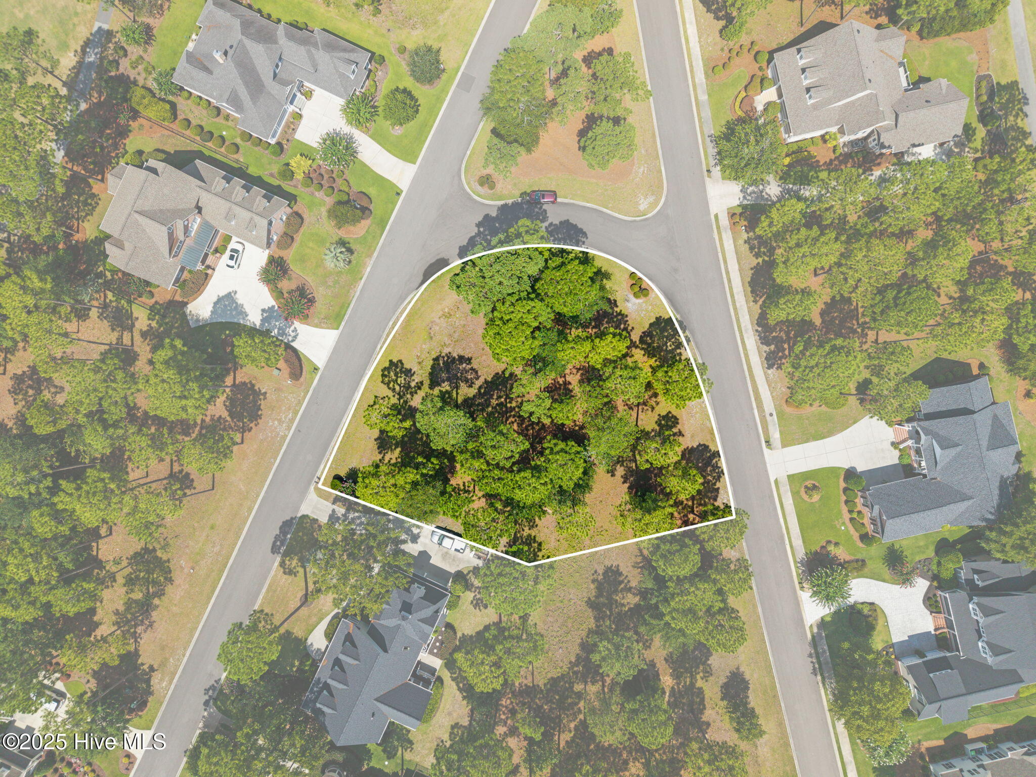 484 Emerald Valley Drive Property Photo 3